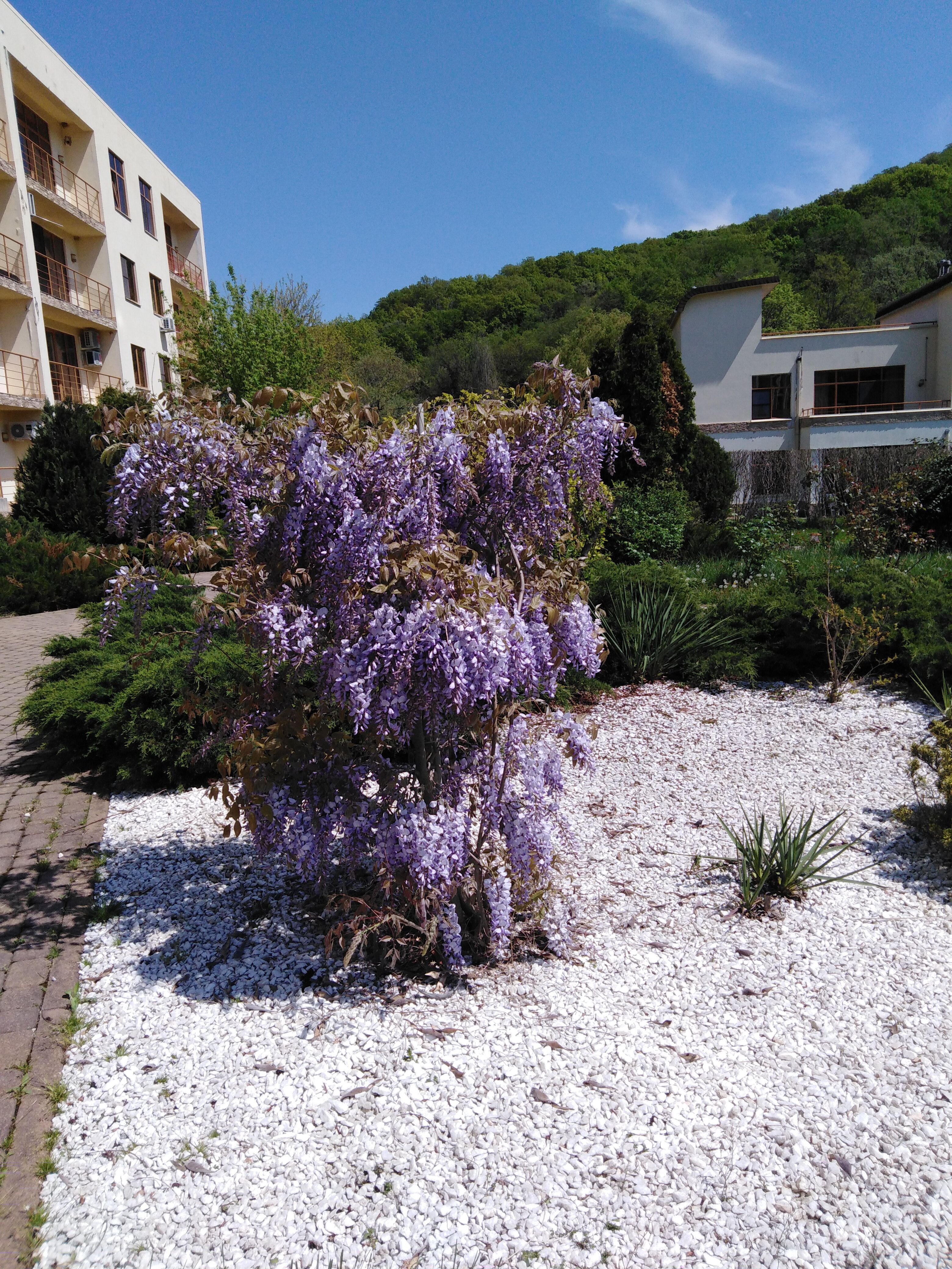 Фото Аквамарин