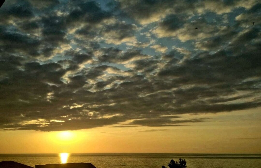 Фото Na Reydovoy