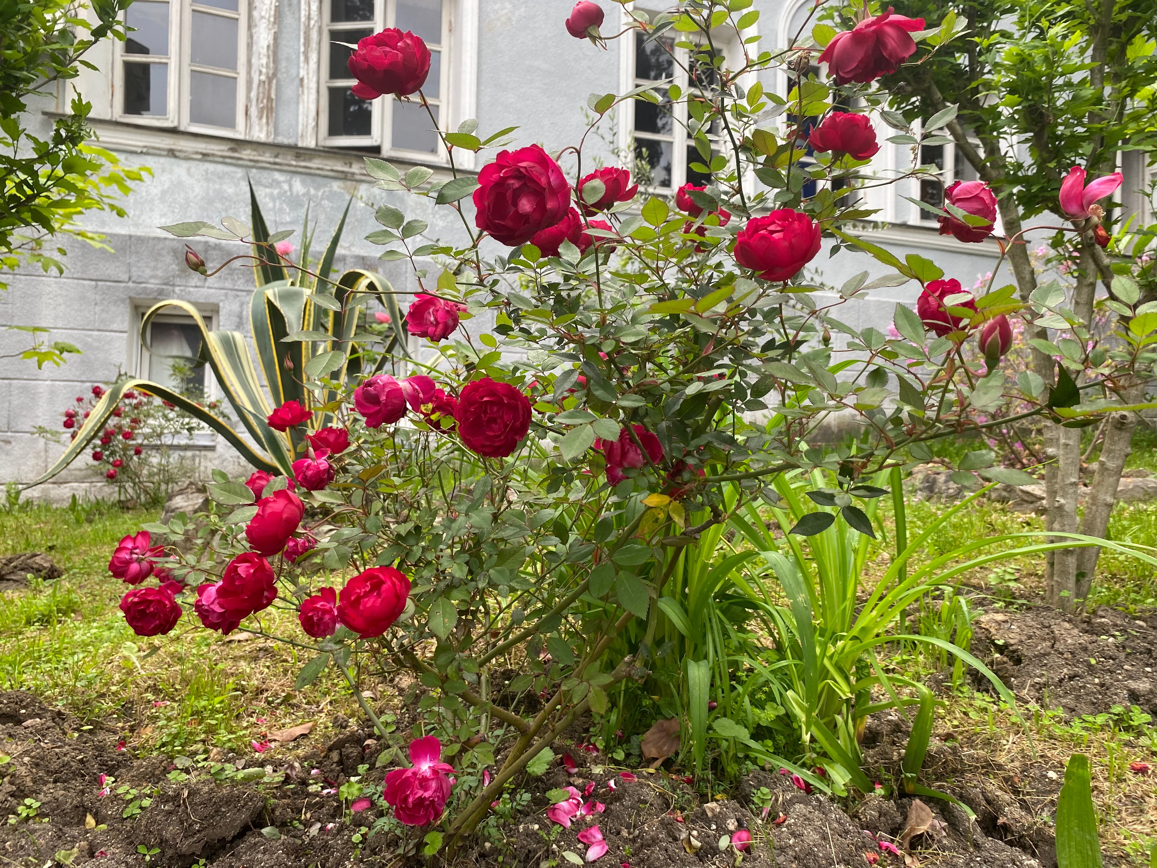 Фото Вилла Леона