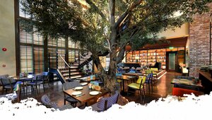 Urth Caffe (City Walk Mall, City Walk, Jumeirah, Dubai), cafe