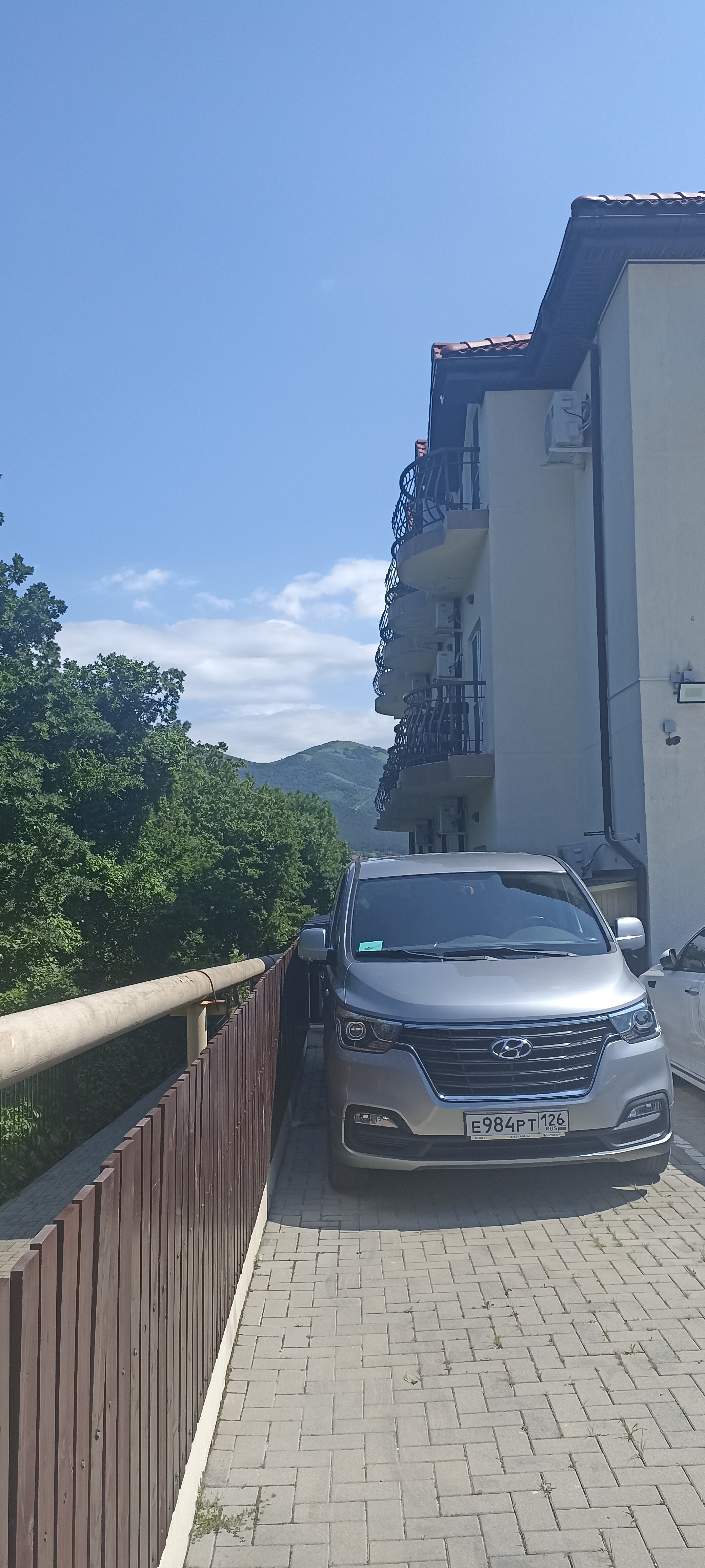 Фото Кедровая роща