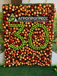Agroprogress (Kuznetsovskaya Street, 19), productos fitosanitarios