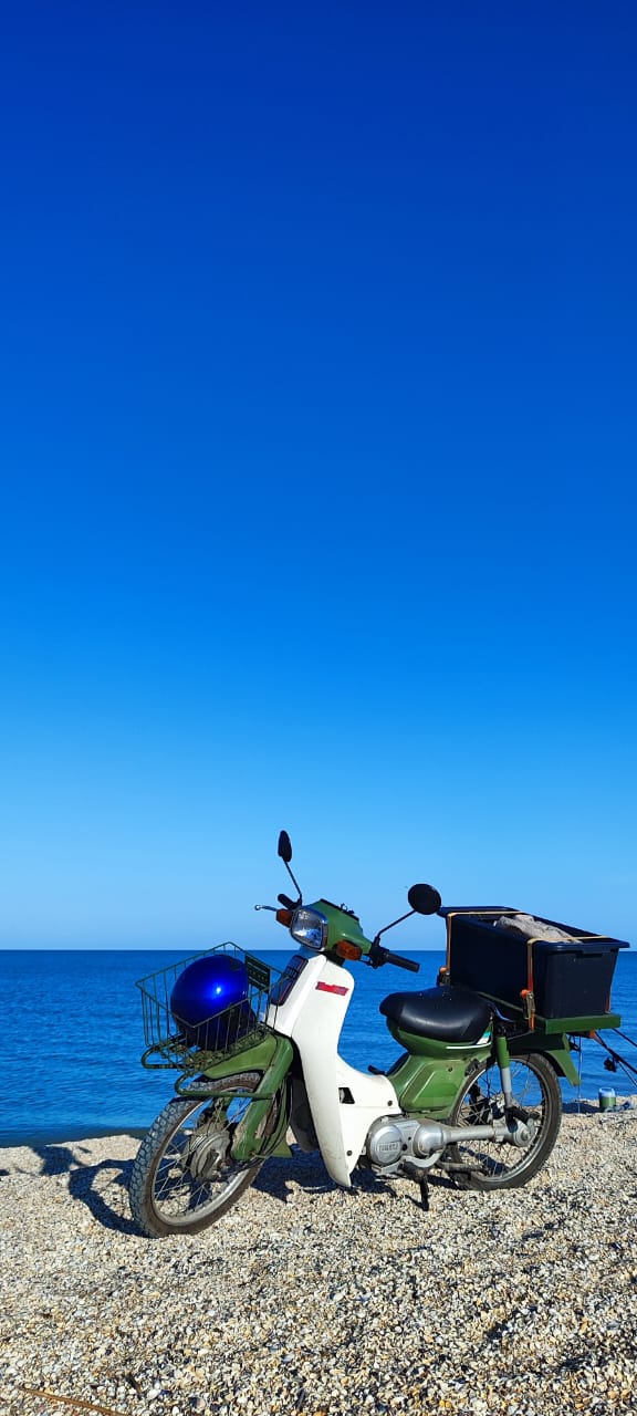 Фото Ковчег