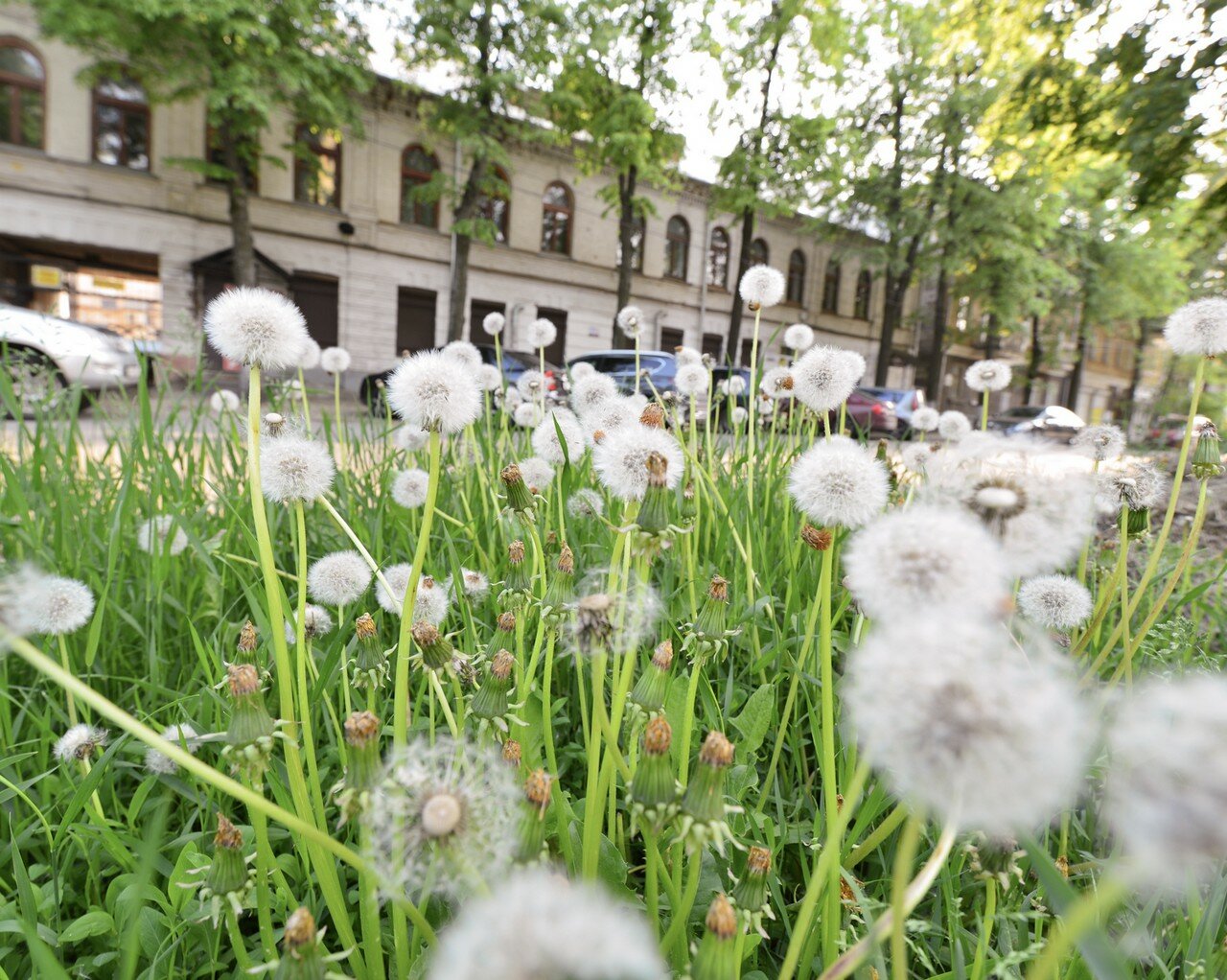 Фото Сити Хаус