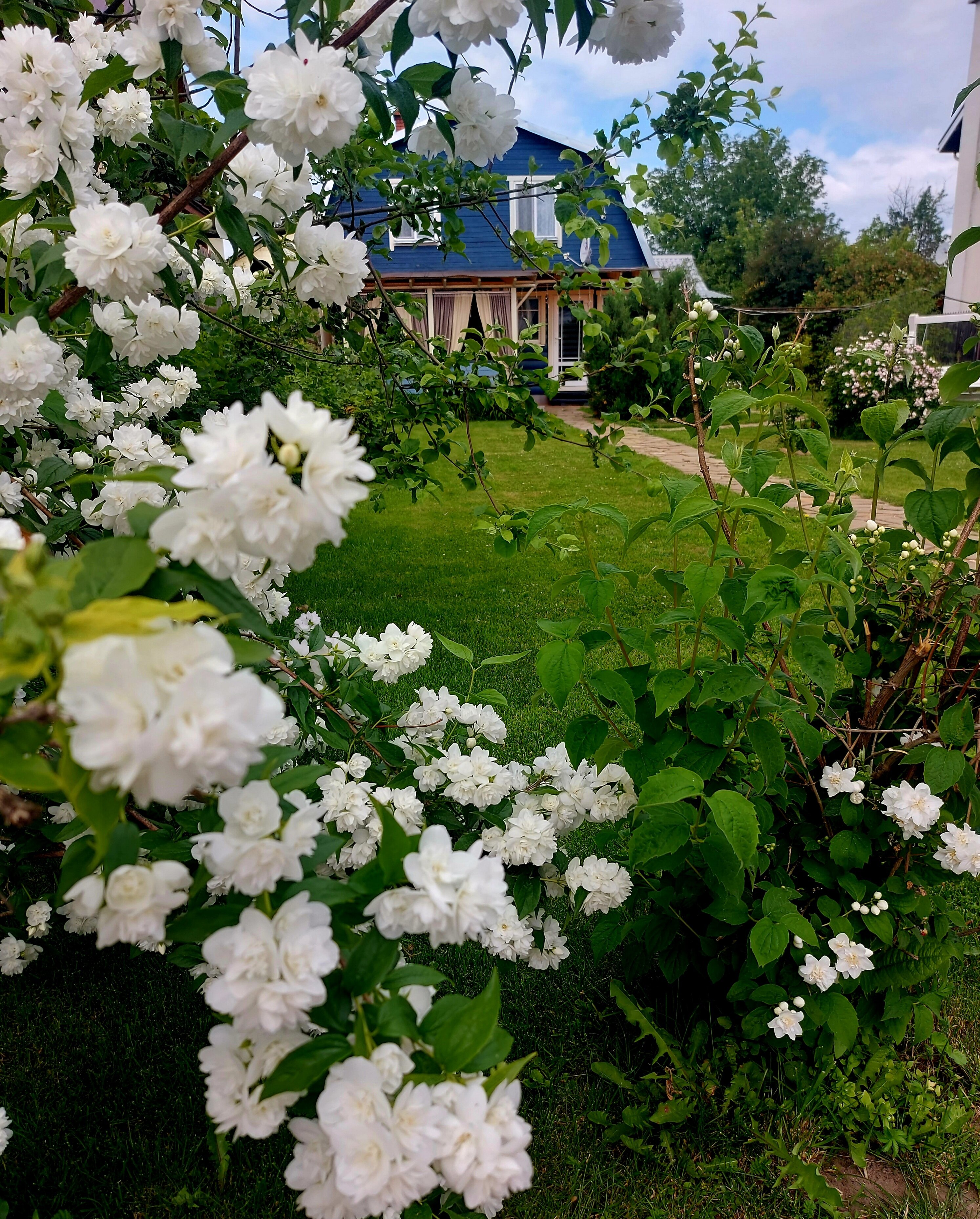 Фото Suzdal Like Home