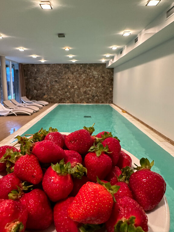 Фото Арт Отель Фиагдон