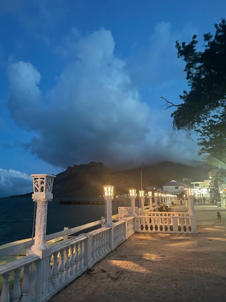 Фото Белый Грифон