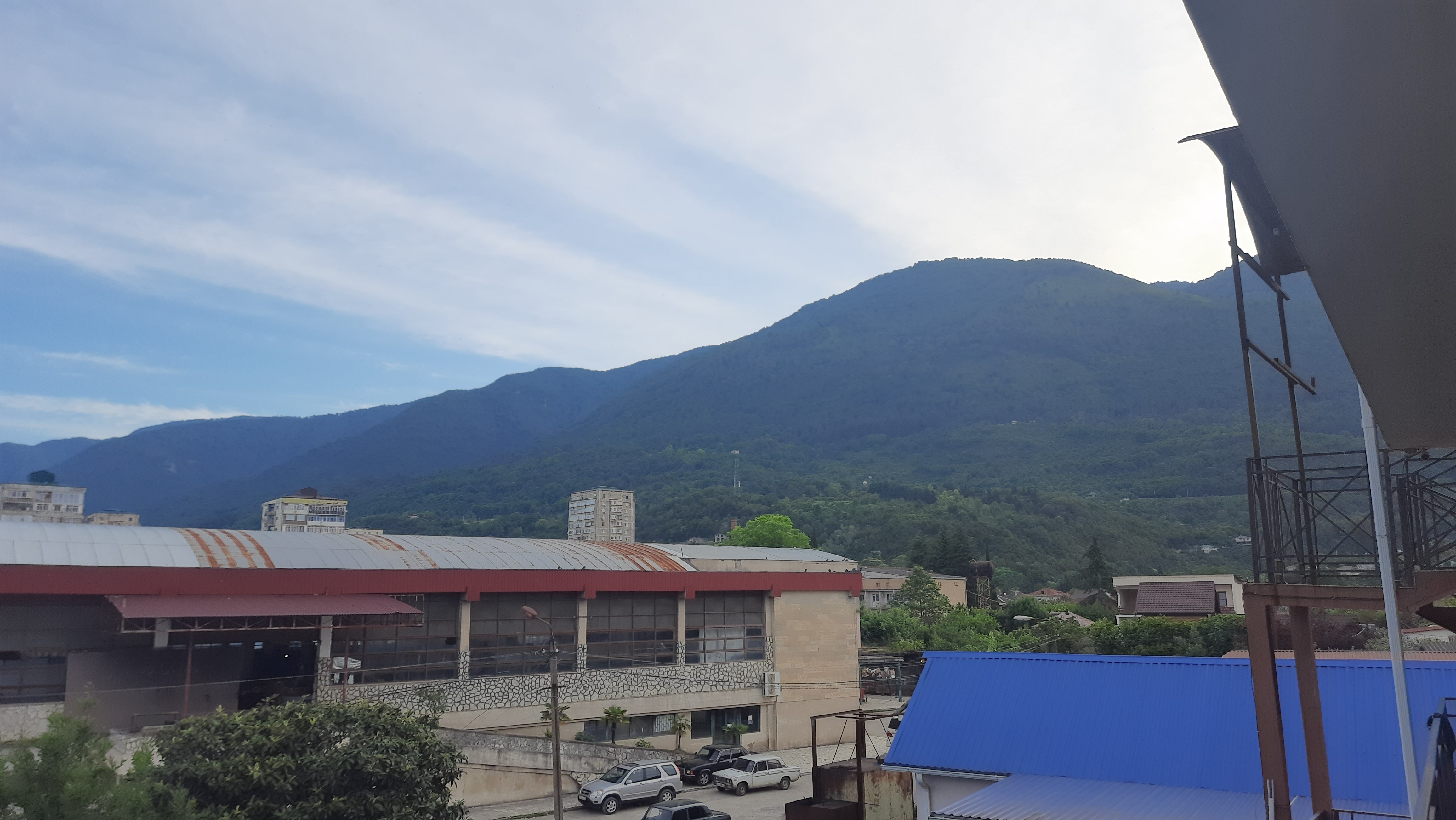 Фото Династия