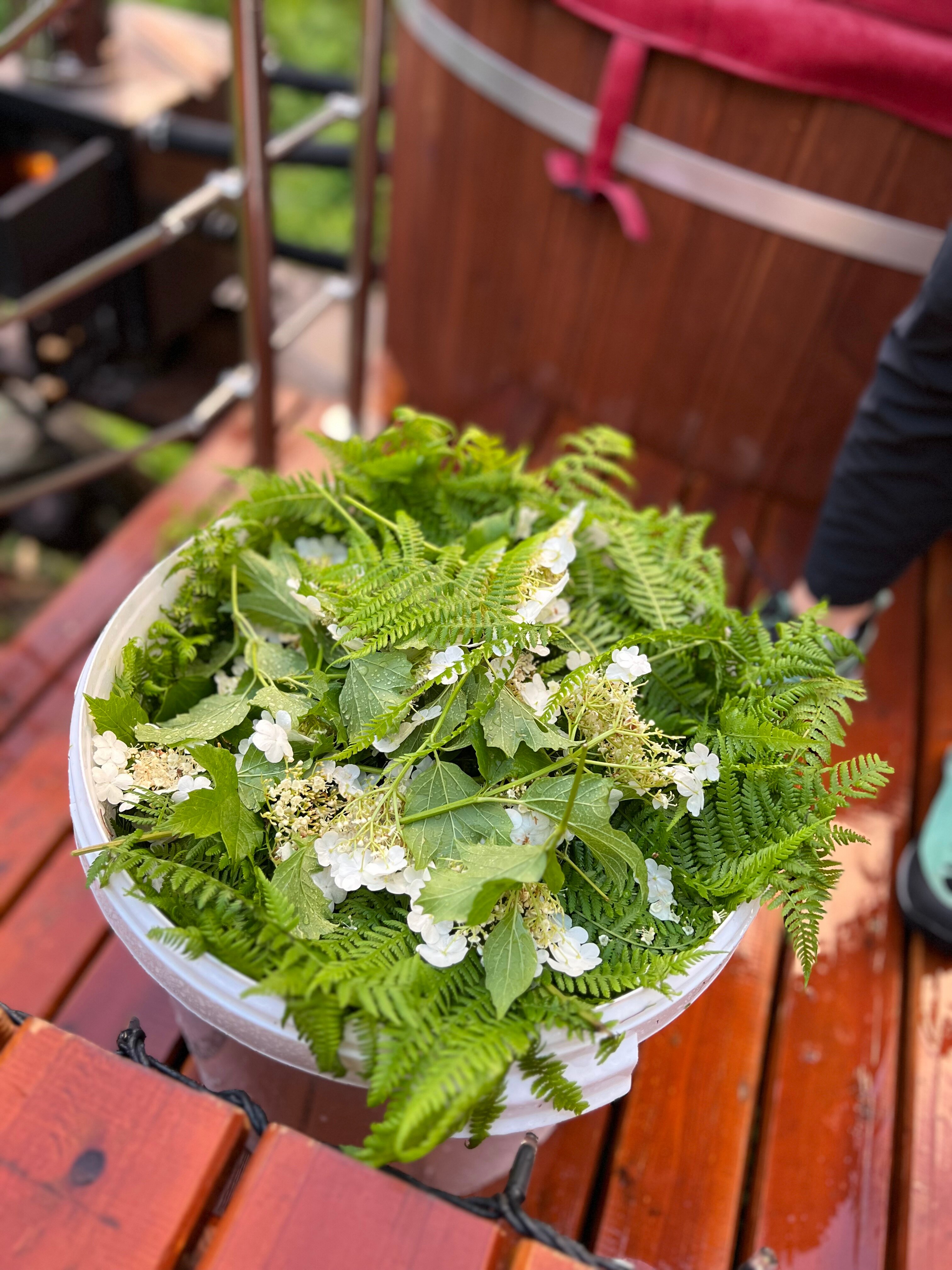 Фото Forest Glamp