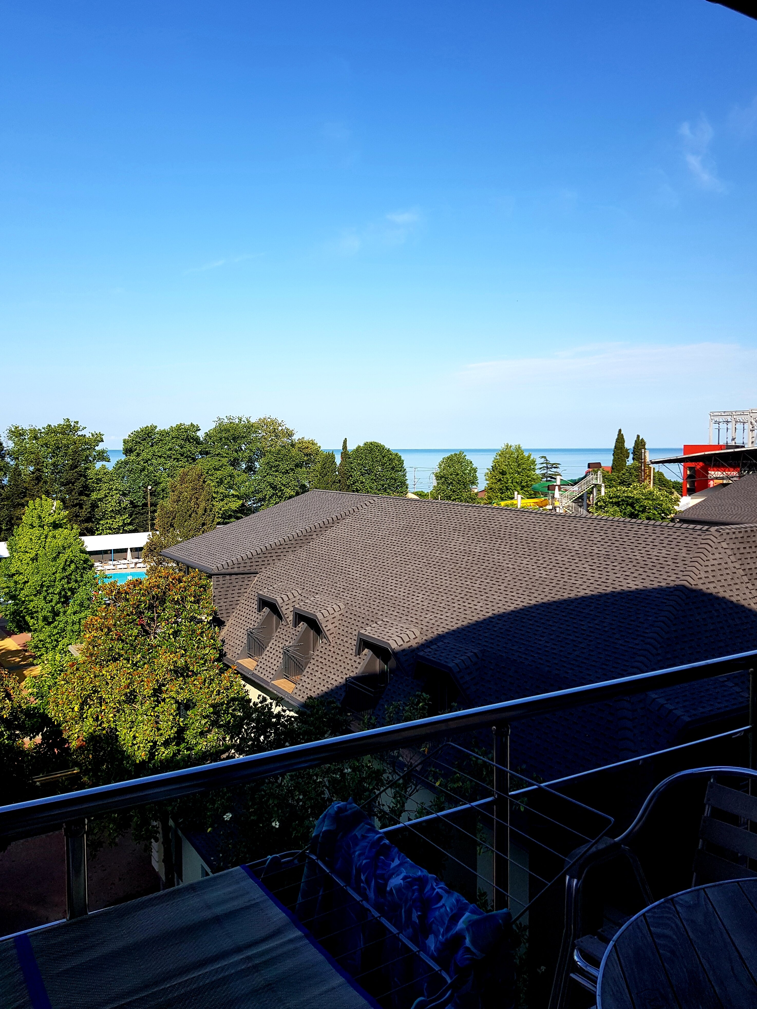 Фото Кардинал