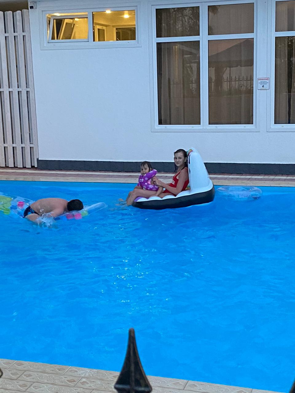 Фото Черный кот