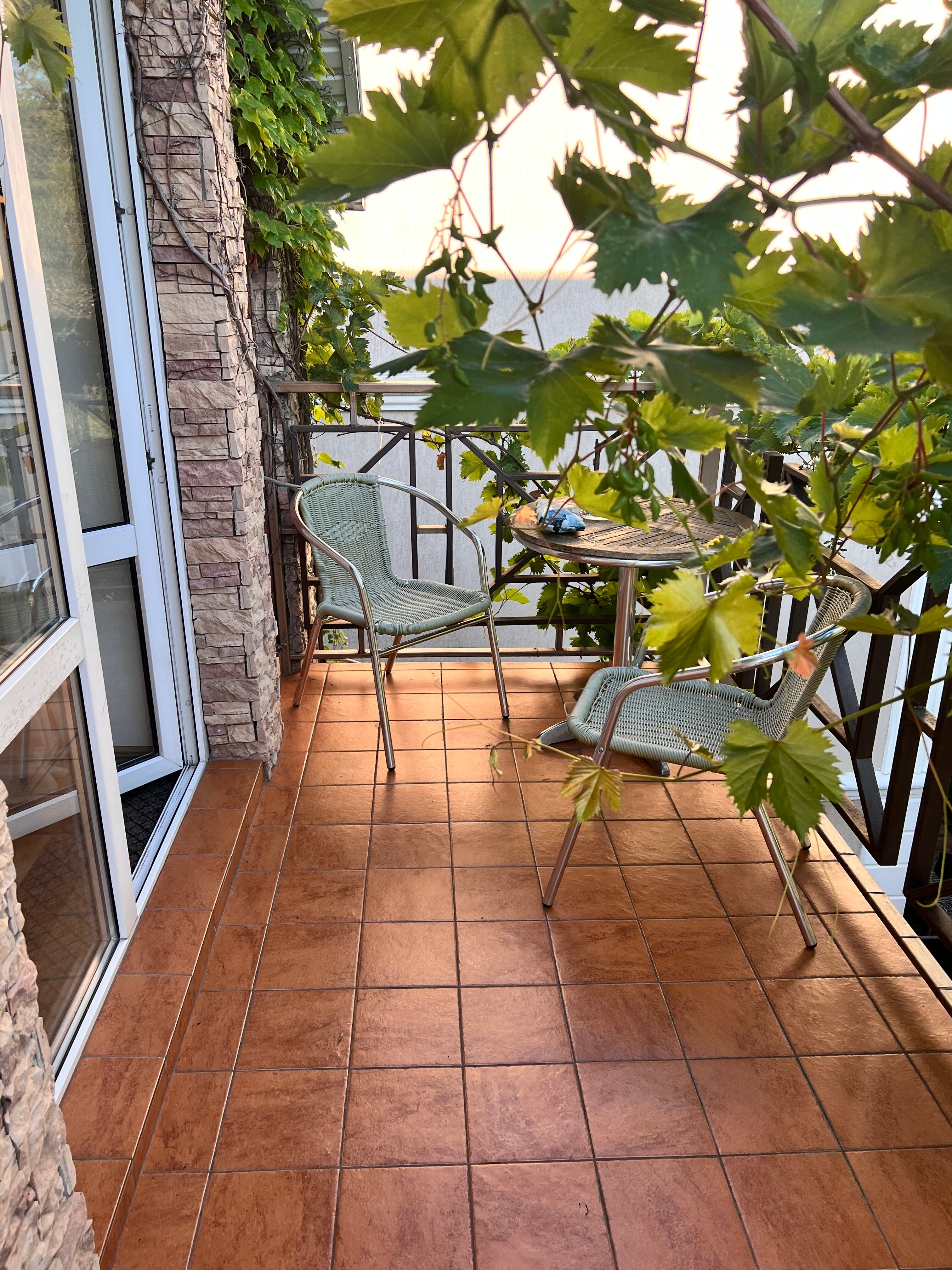 Фото Камелот