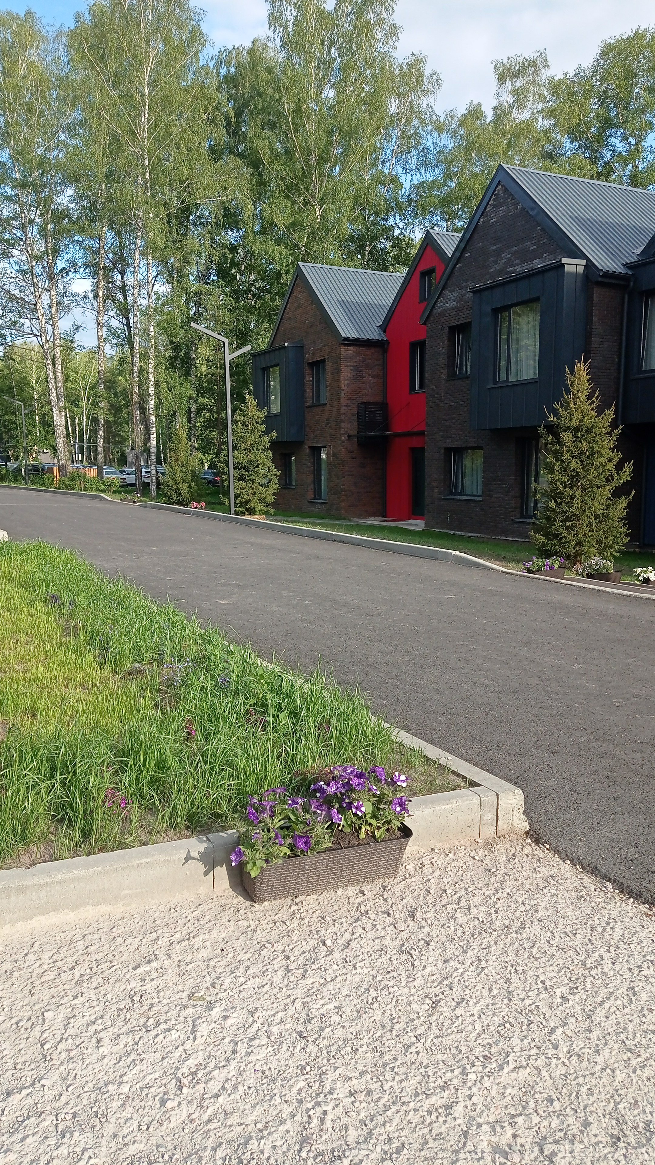 Фото Поляна Verde