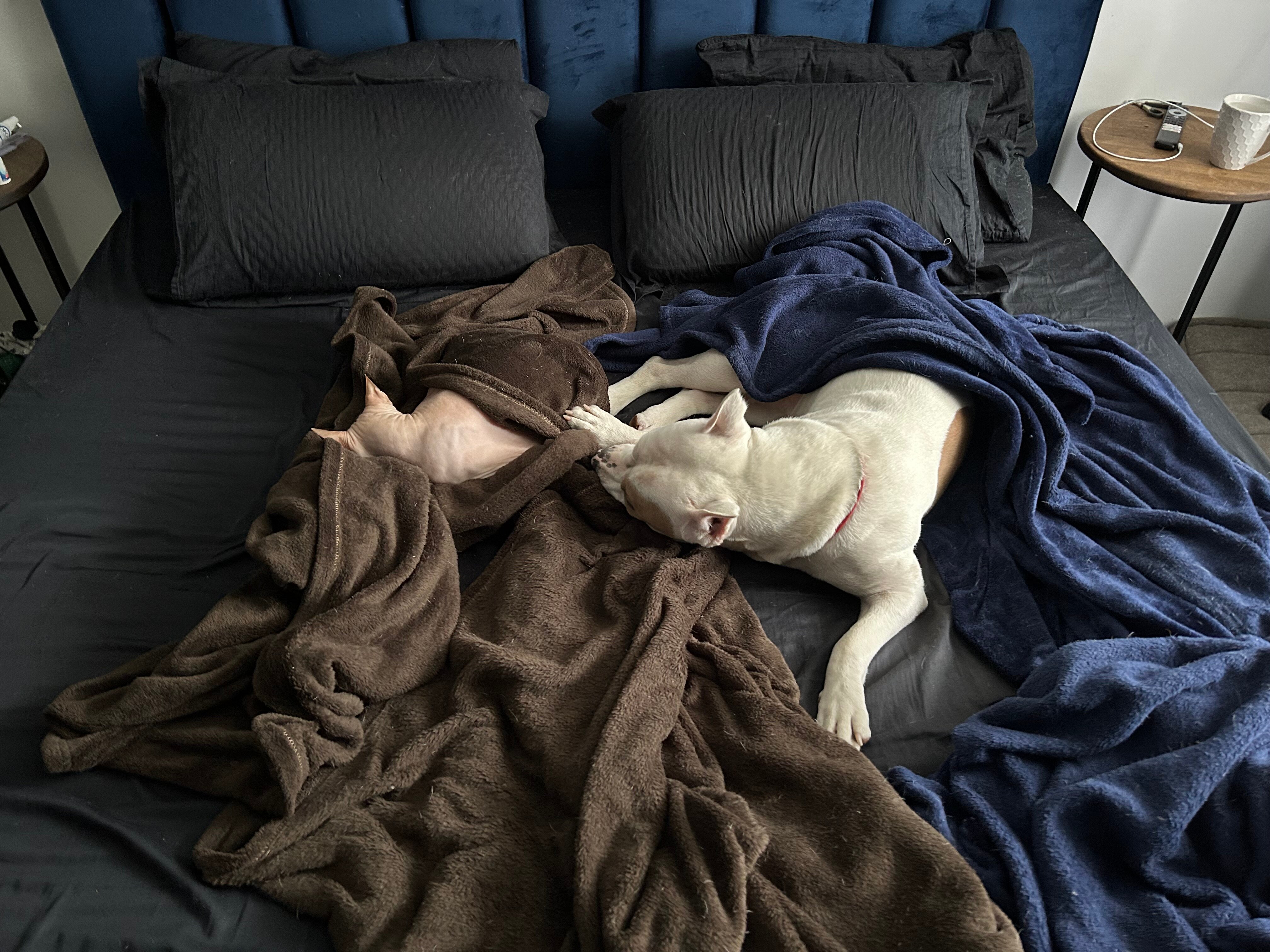 Фото Усадьба Royal Hall