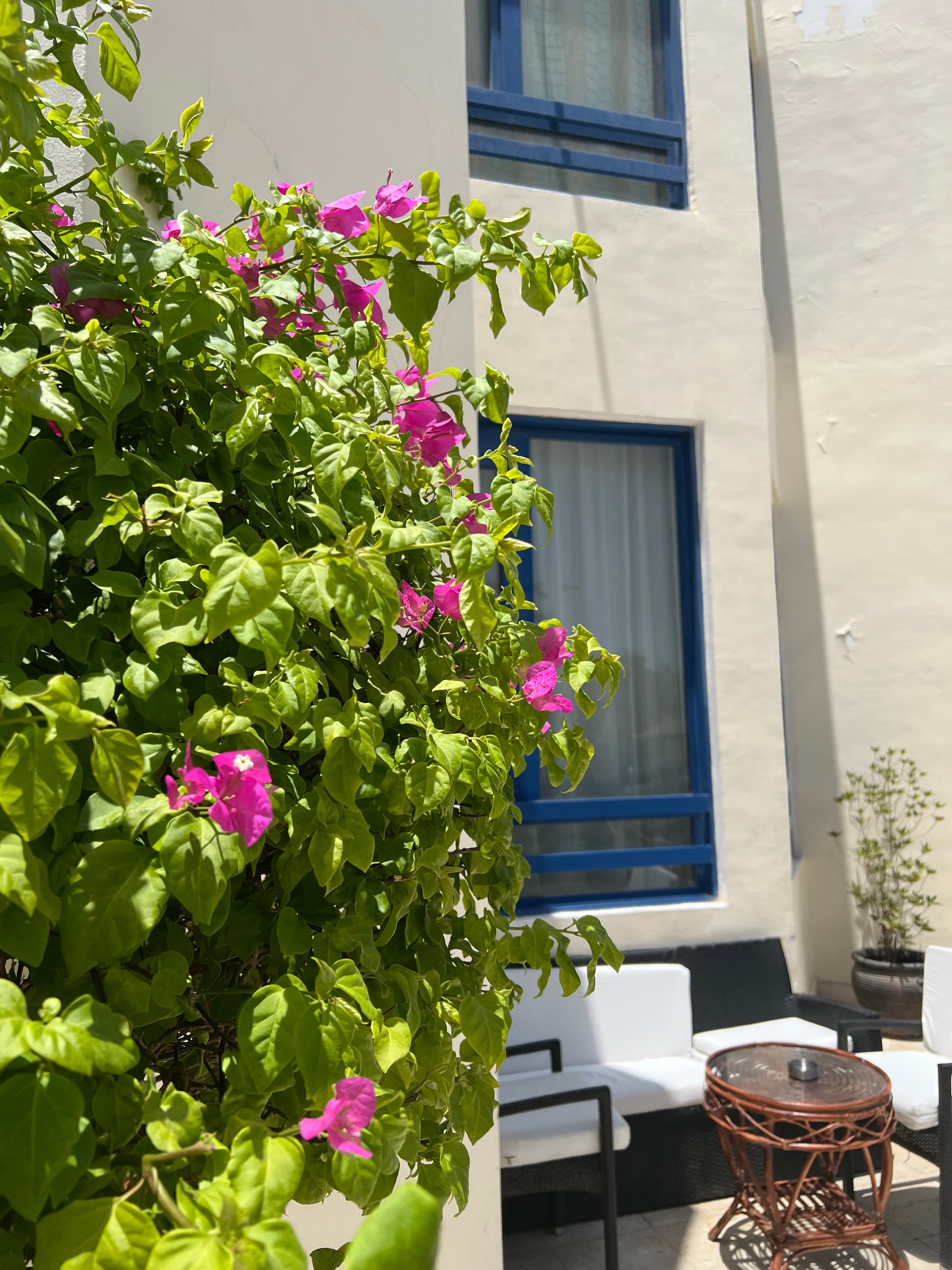 Фото Cataract Sharm Resort