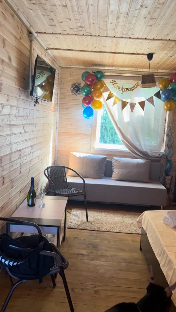 Фото Дельфин