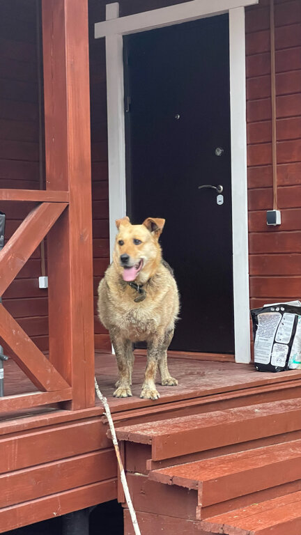 Фото Усадьба на Шамокше