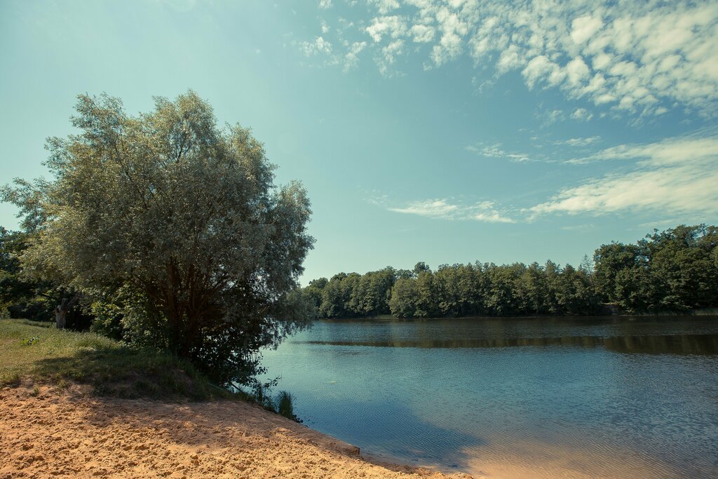 Турбаза Золотой ключик, Воронежская область, фото