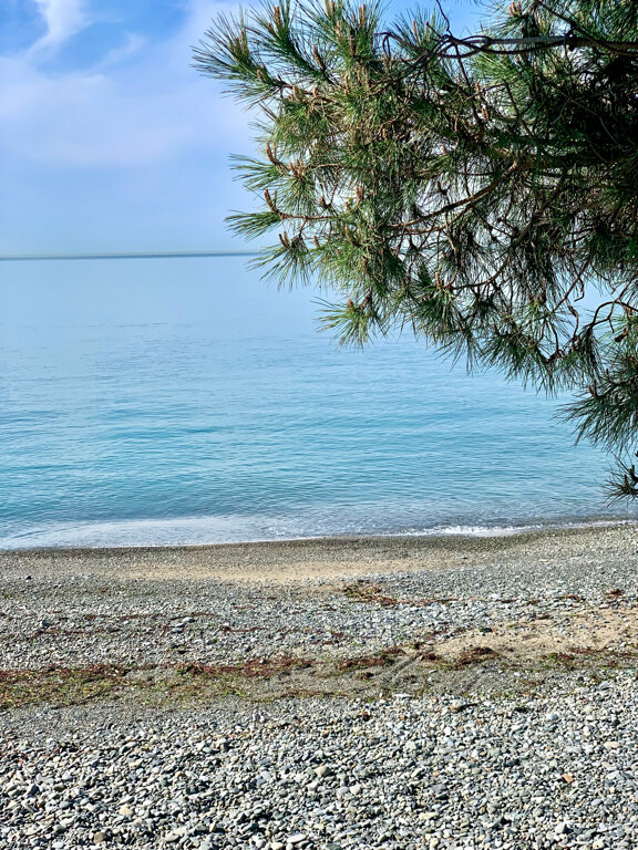 Фото Санаторий имени М. В. Фрунзе