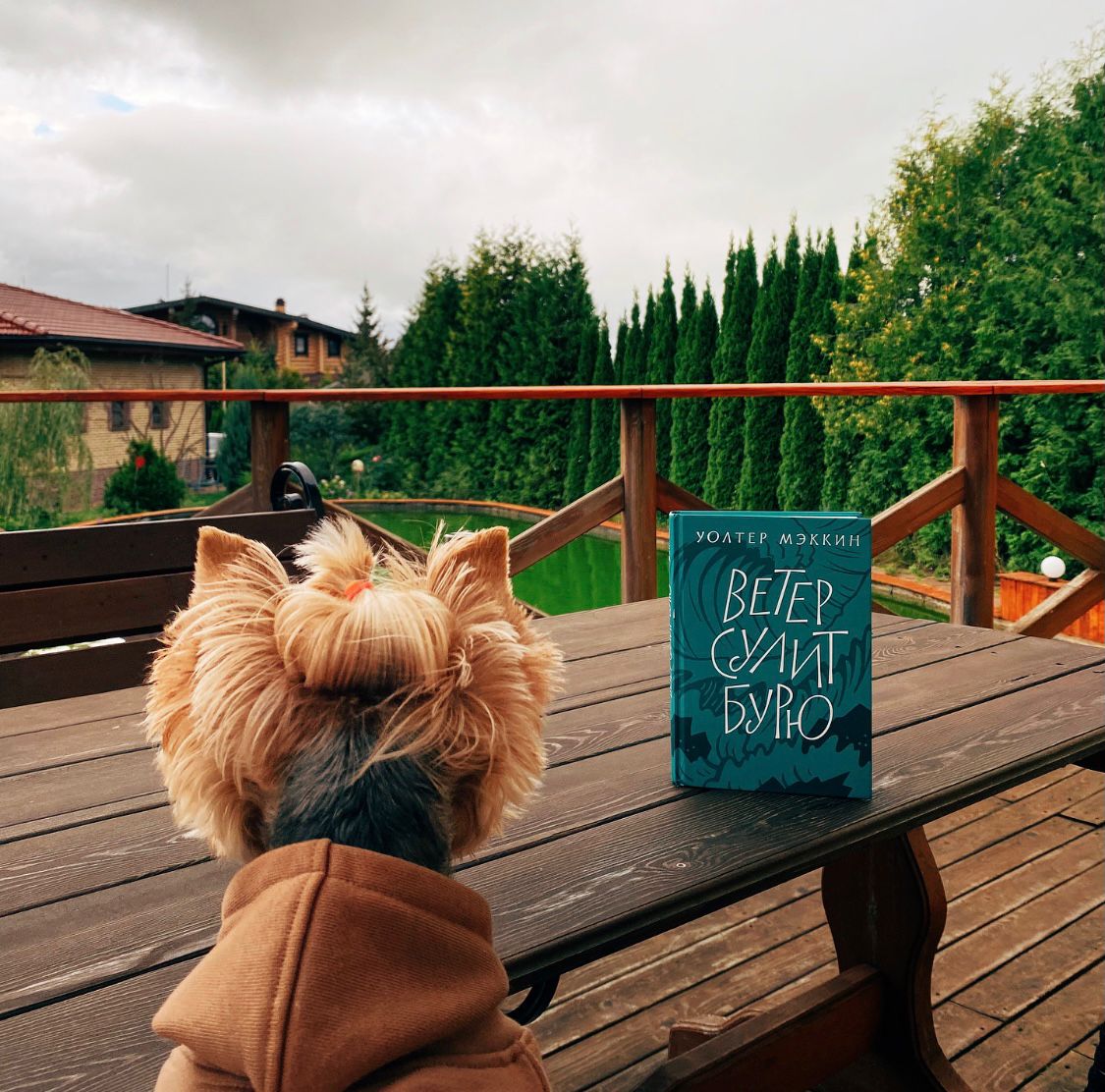 Фото Shagal Chalet