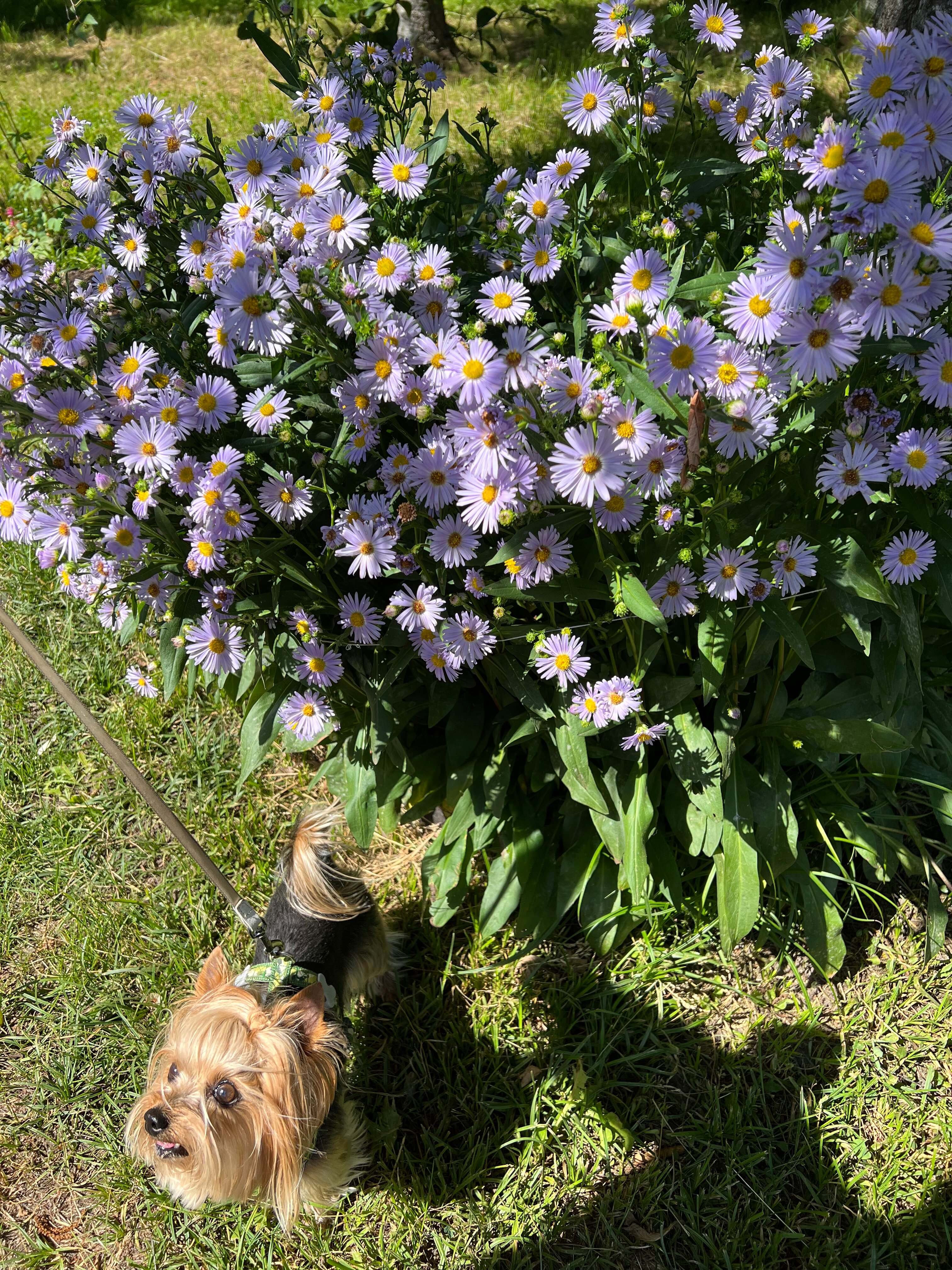 Фото Чудной двор