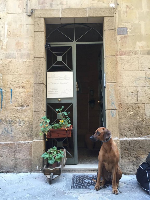 Фото B&b Antiche Volte