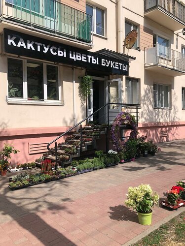 Доставка цветов и букетов FlowerPower, Минск, фото