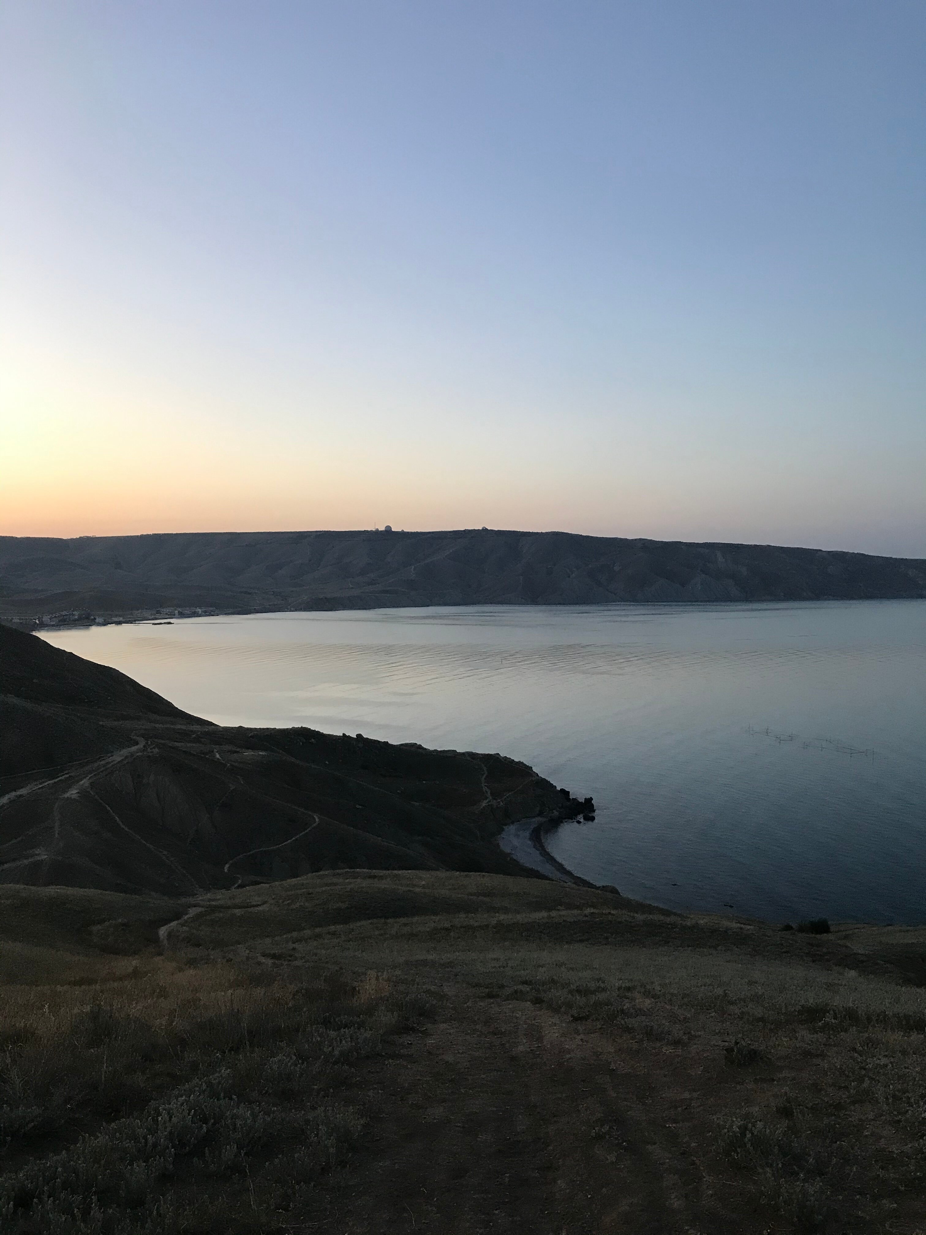 Фото Белый лебедь