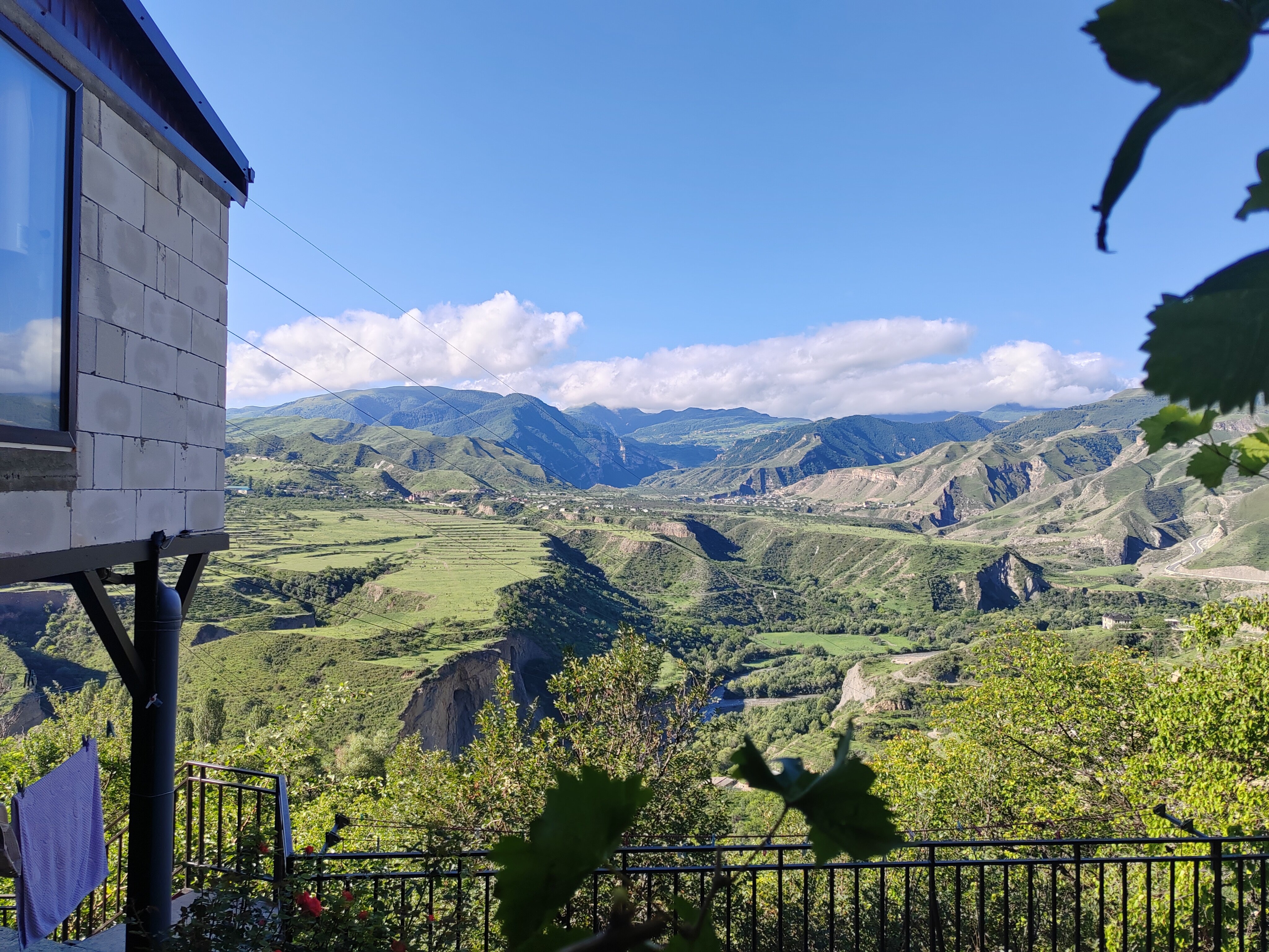 Фото Пение птиц