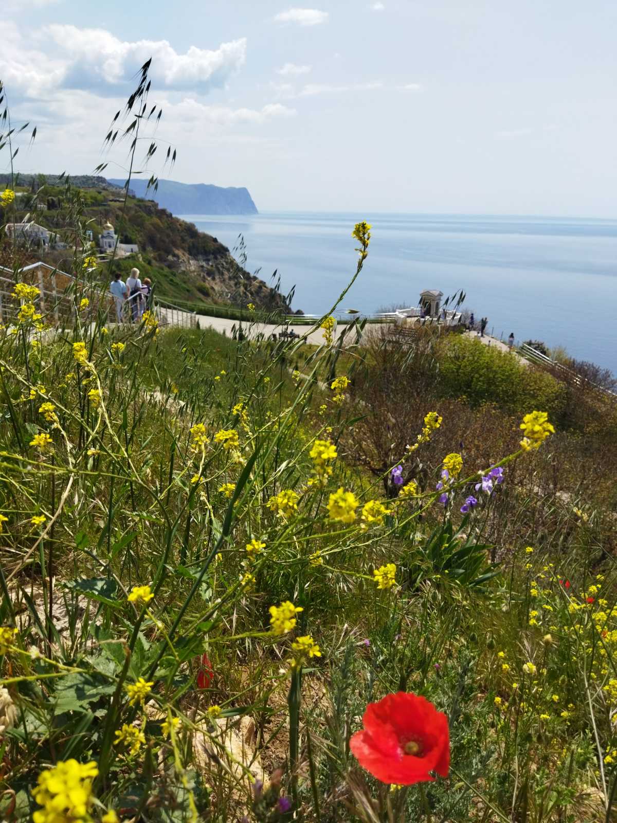 Фото Солнышко