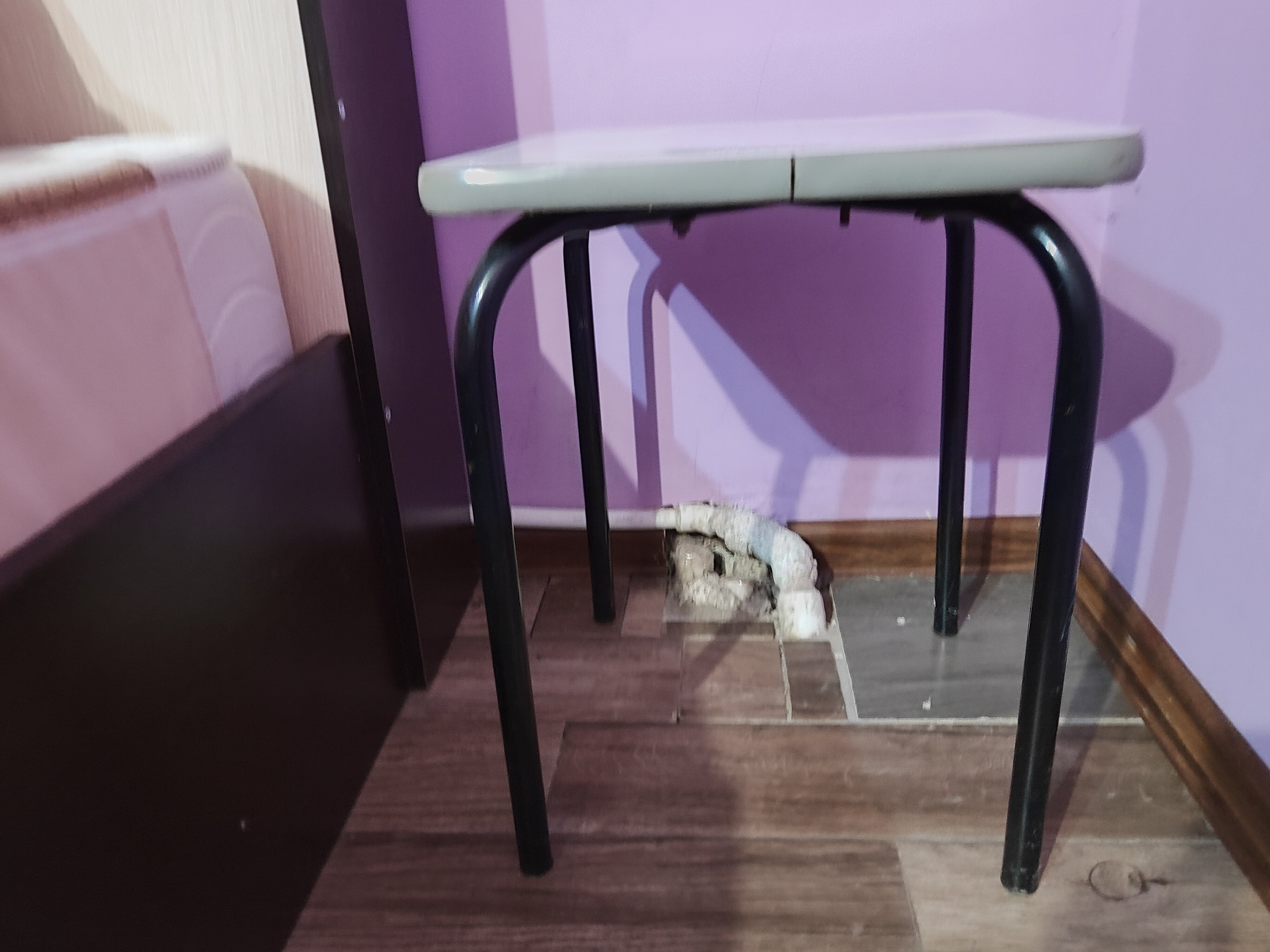 Фото Гостевой дом Юг