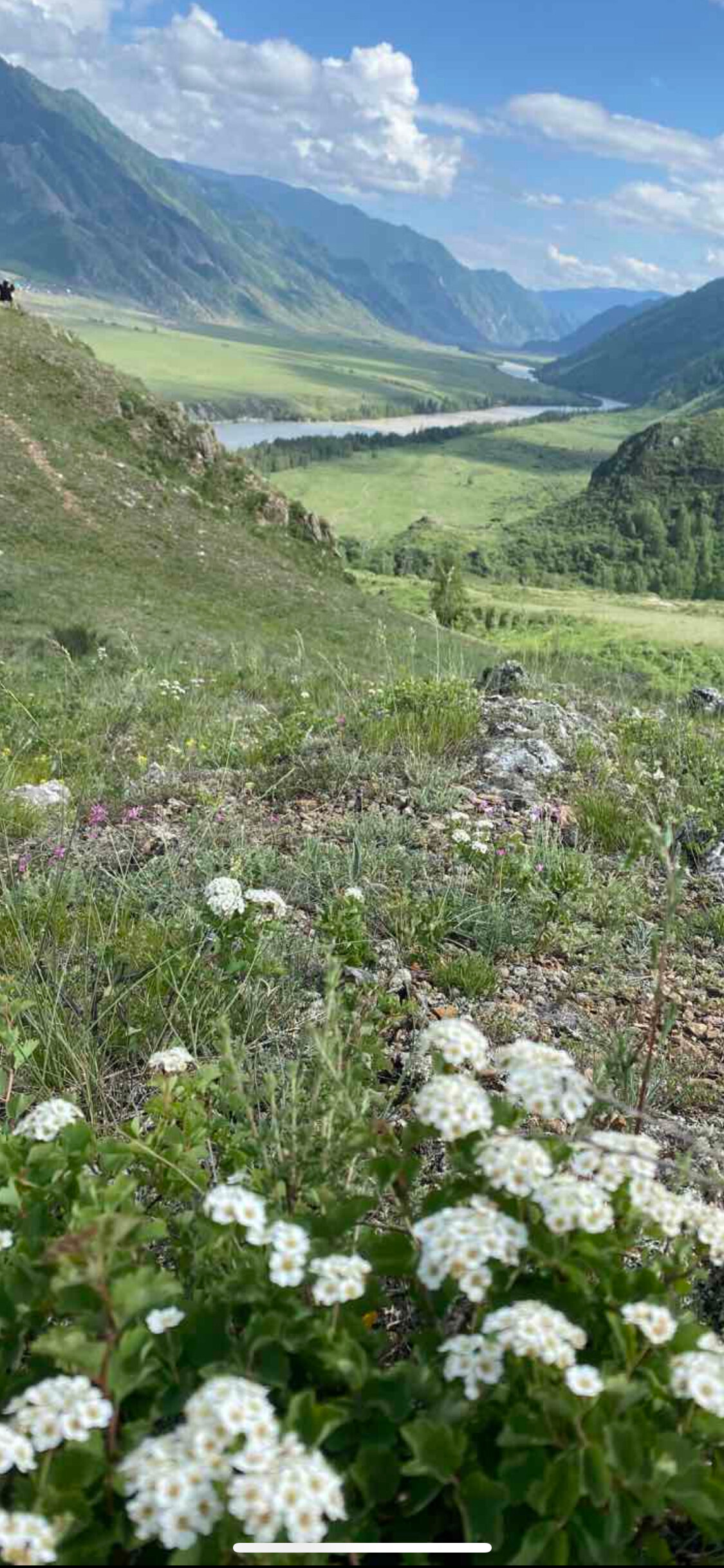 Фото Зеленые холмы