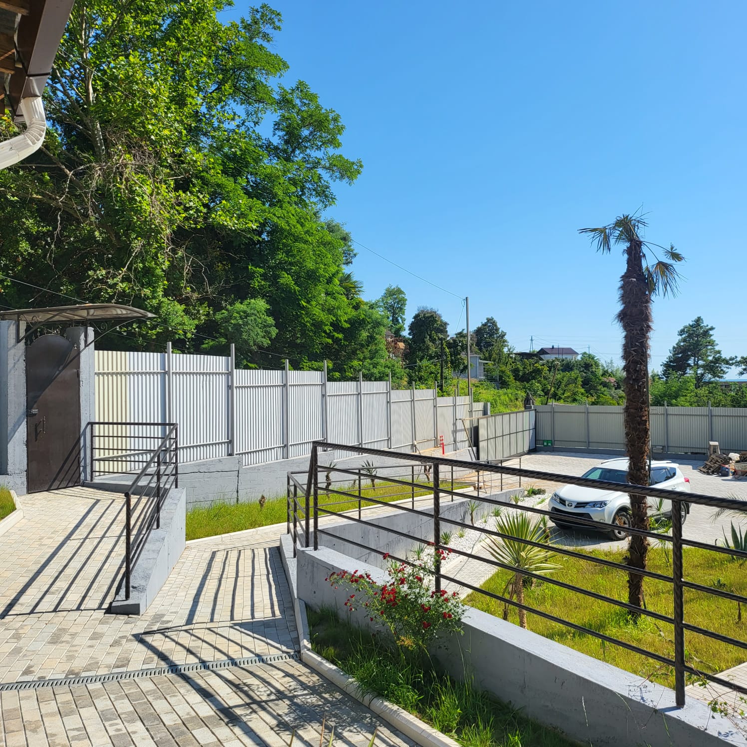 Фото Лимончелло