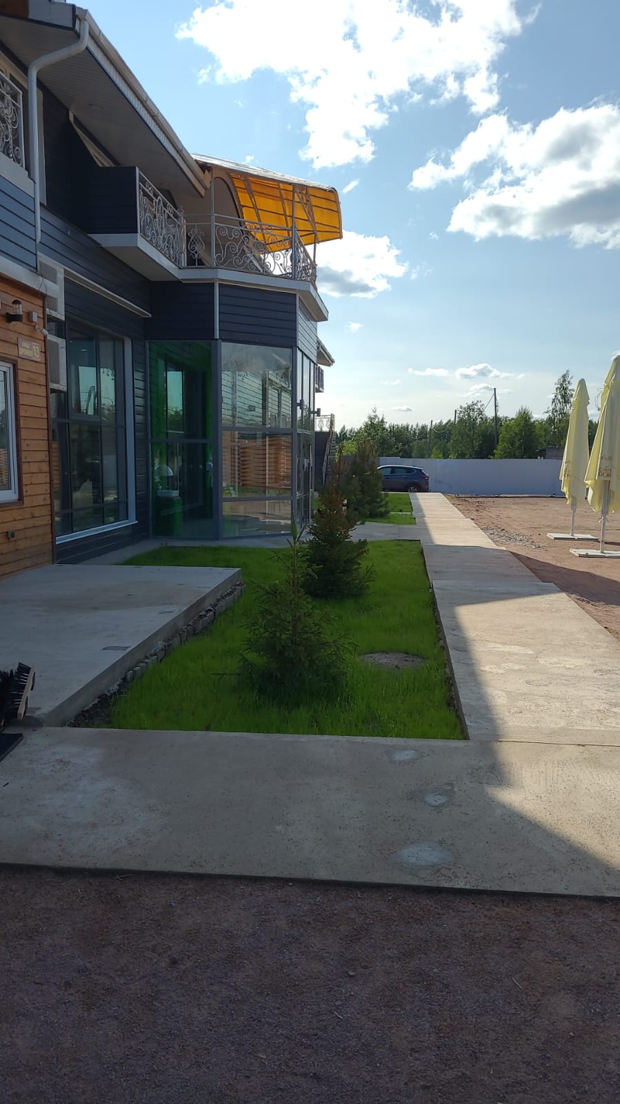 Фото Golden Rose