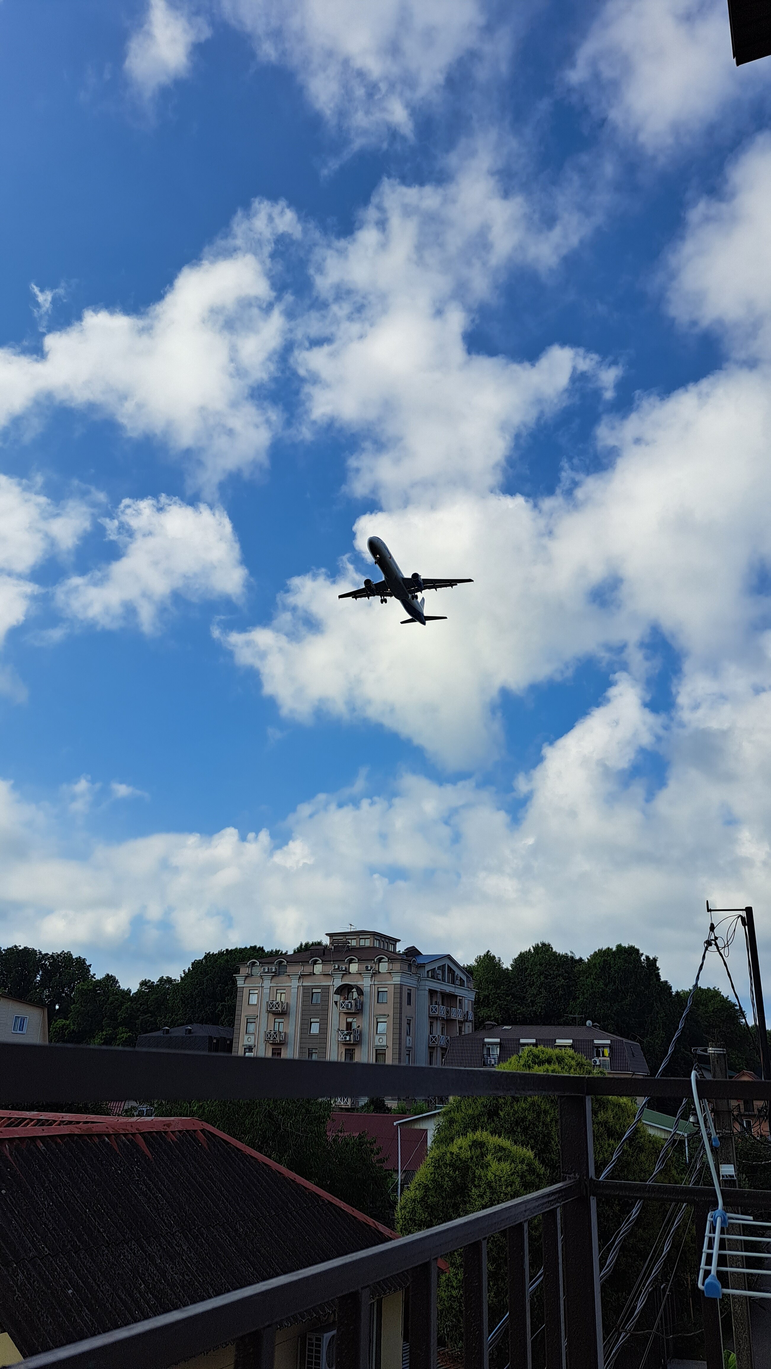 Фото Гиацинт