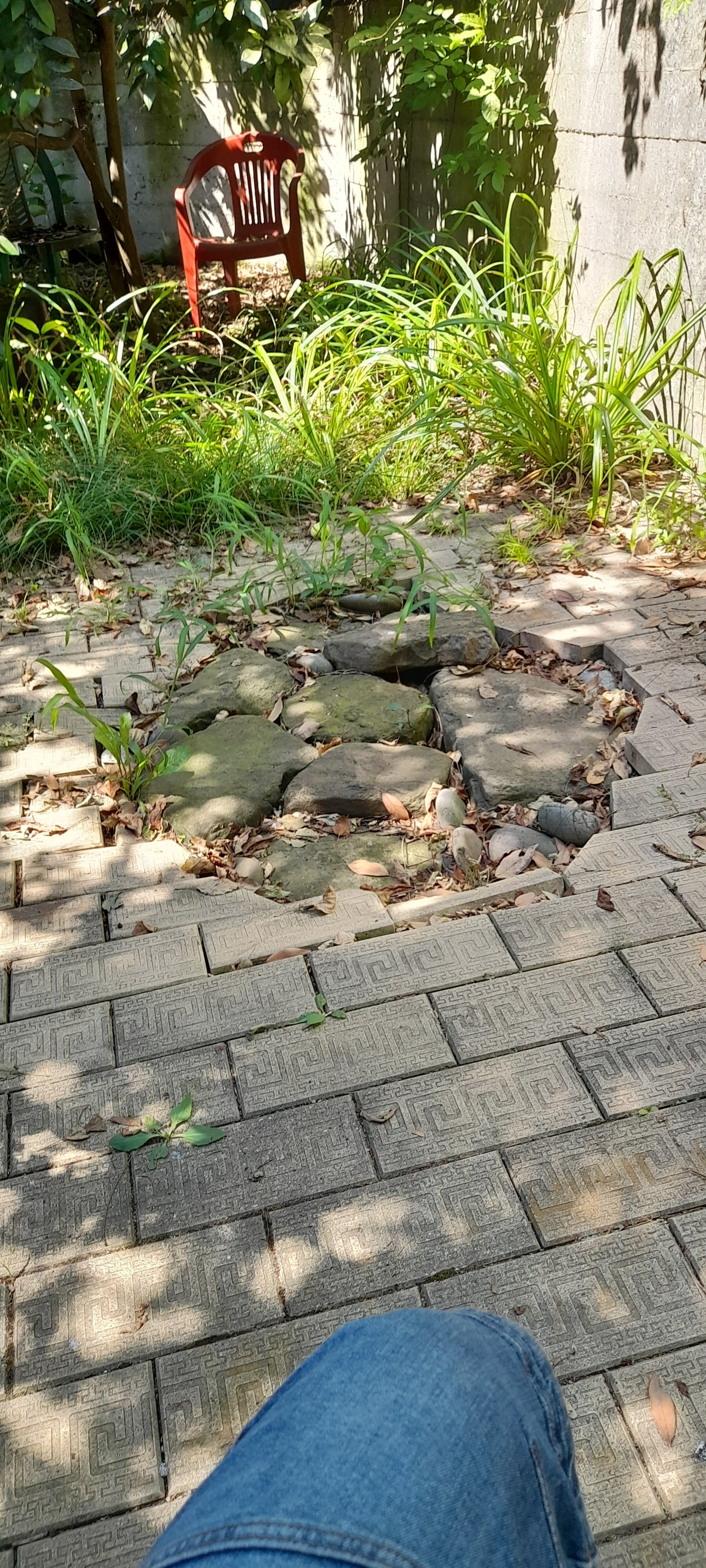 Фото Анна-вояж