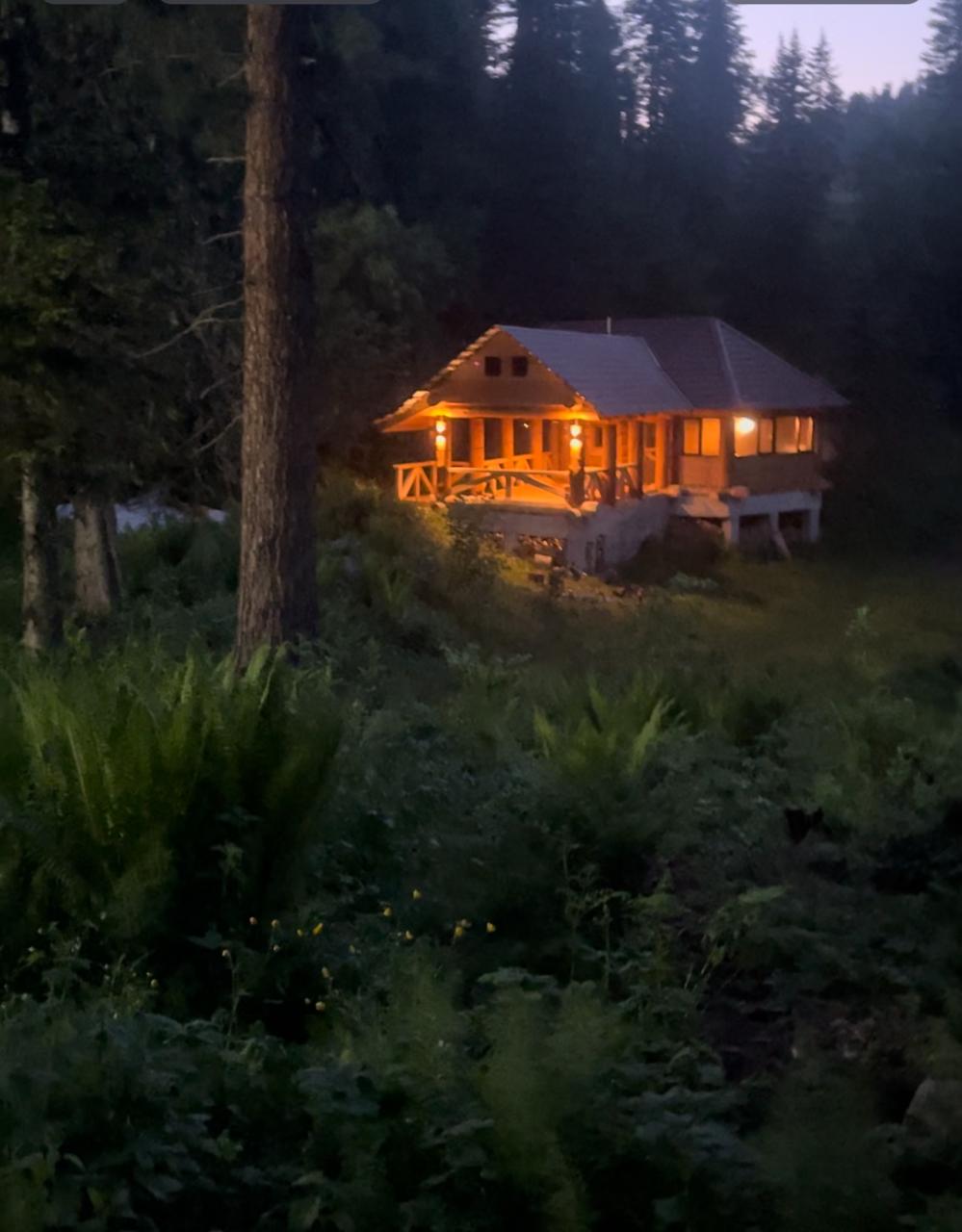 Фото Телецкое золотое