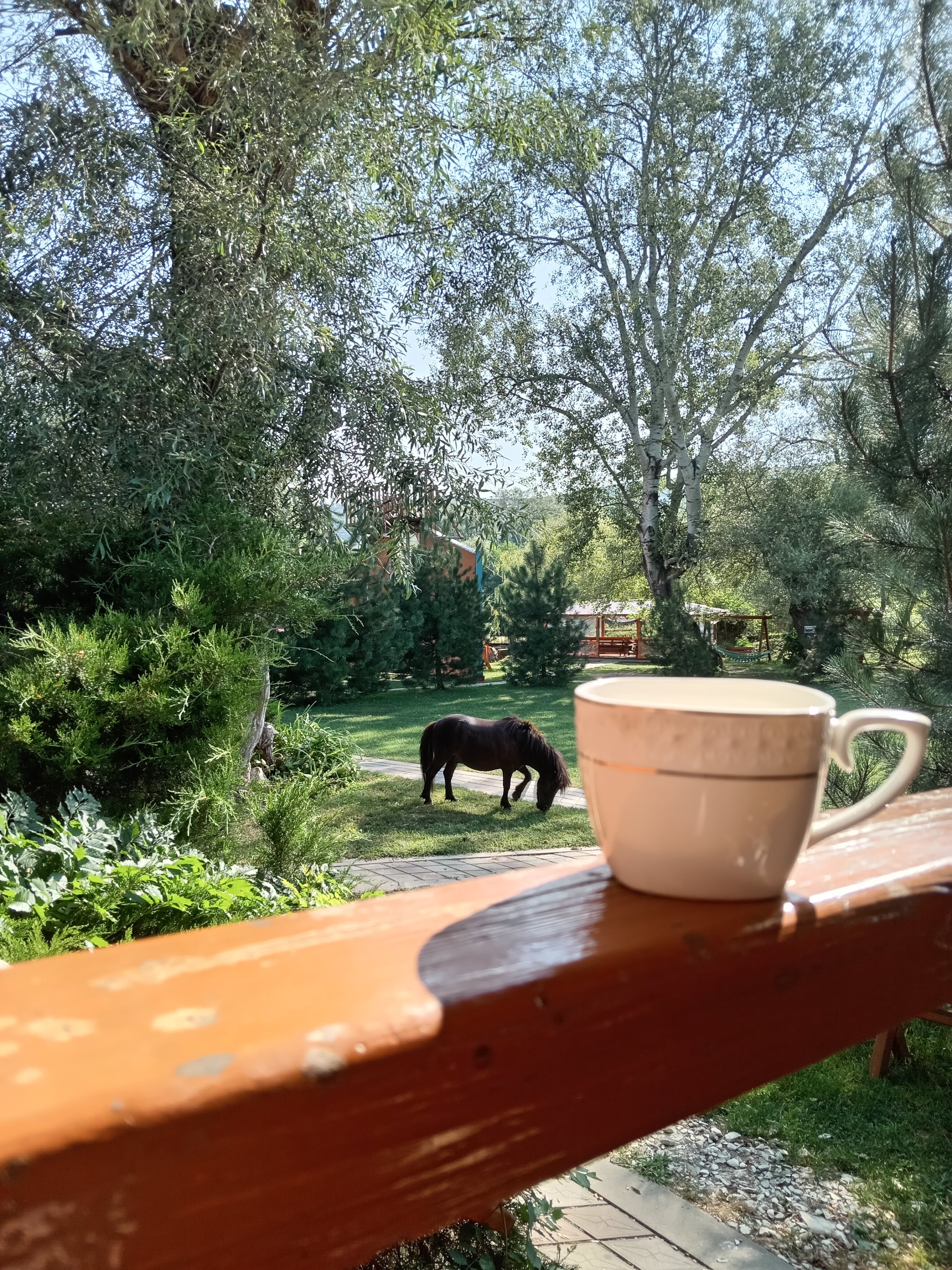 Фото Светлячок