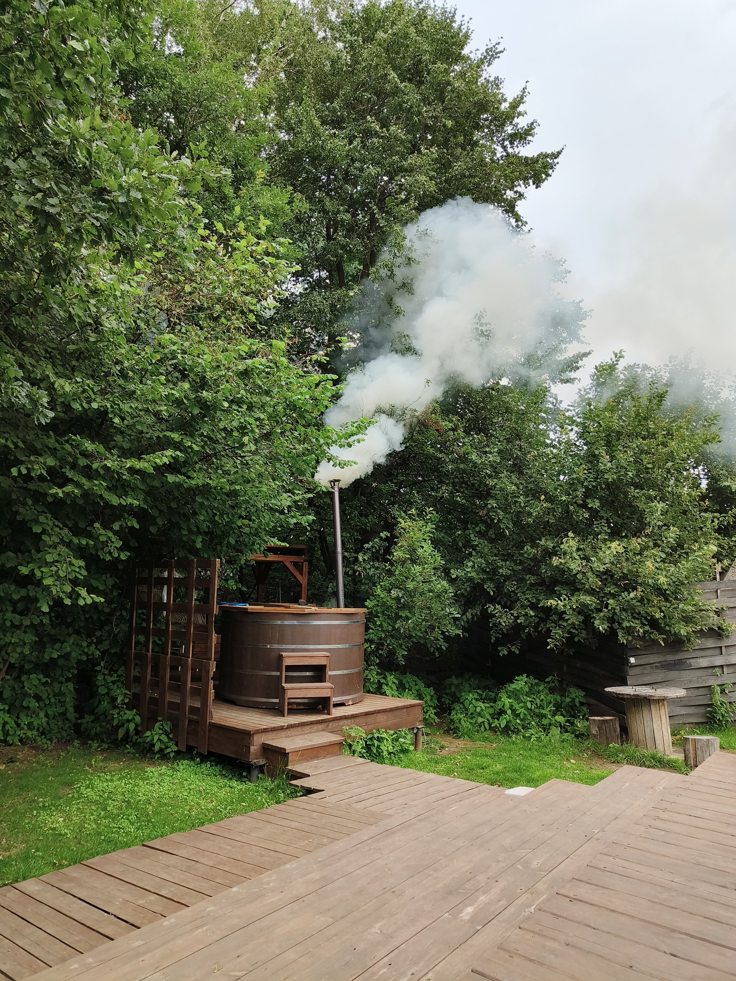 Фото Жёлуди