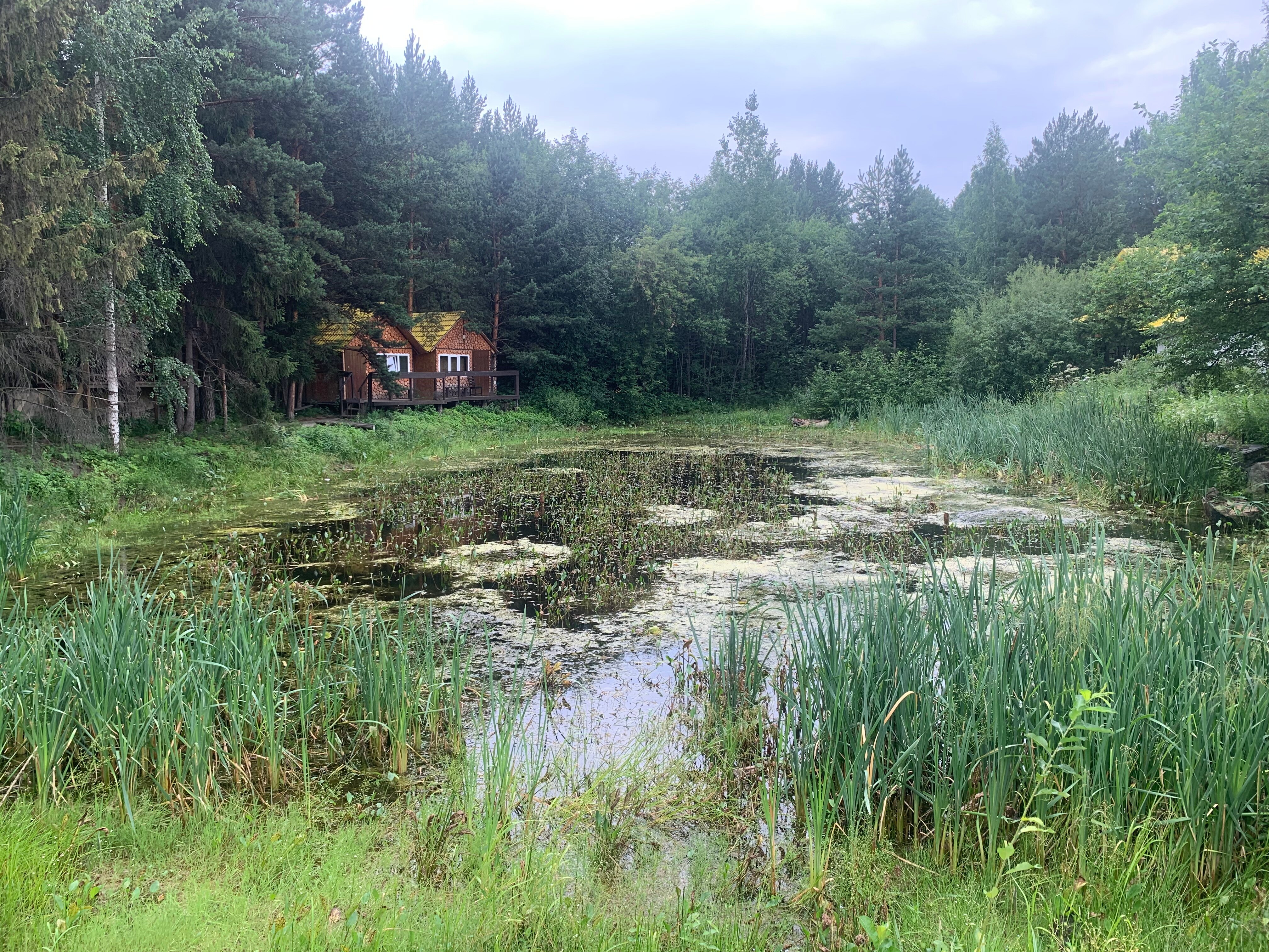 Фото У Горы Волчиха