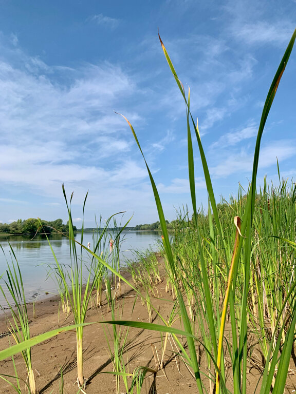 Фото Займище