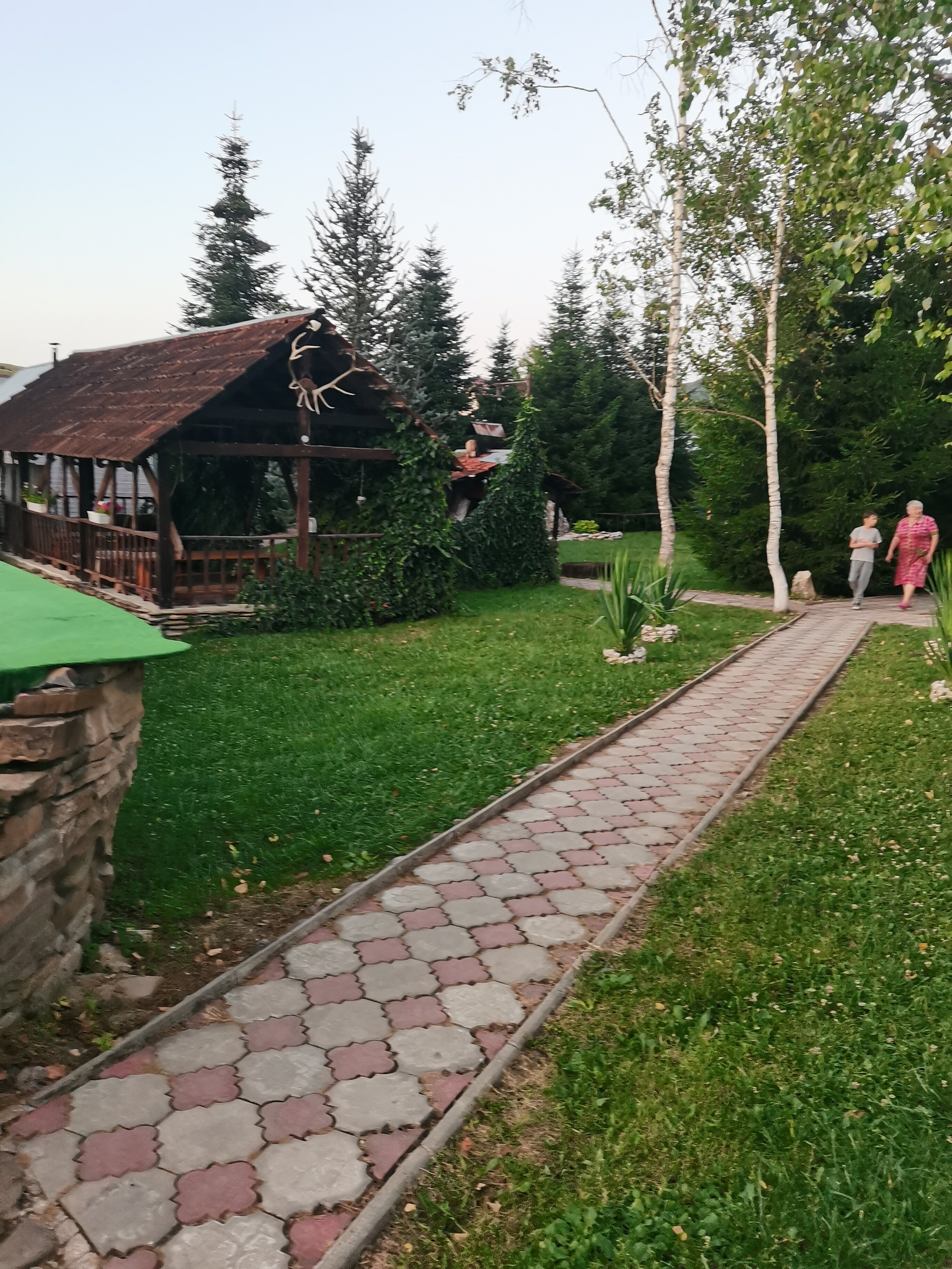 Фото Снежный Барс