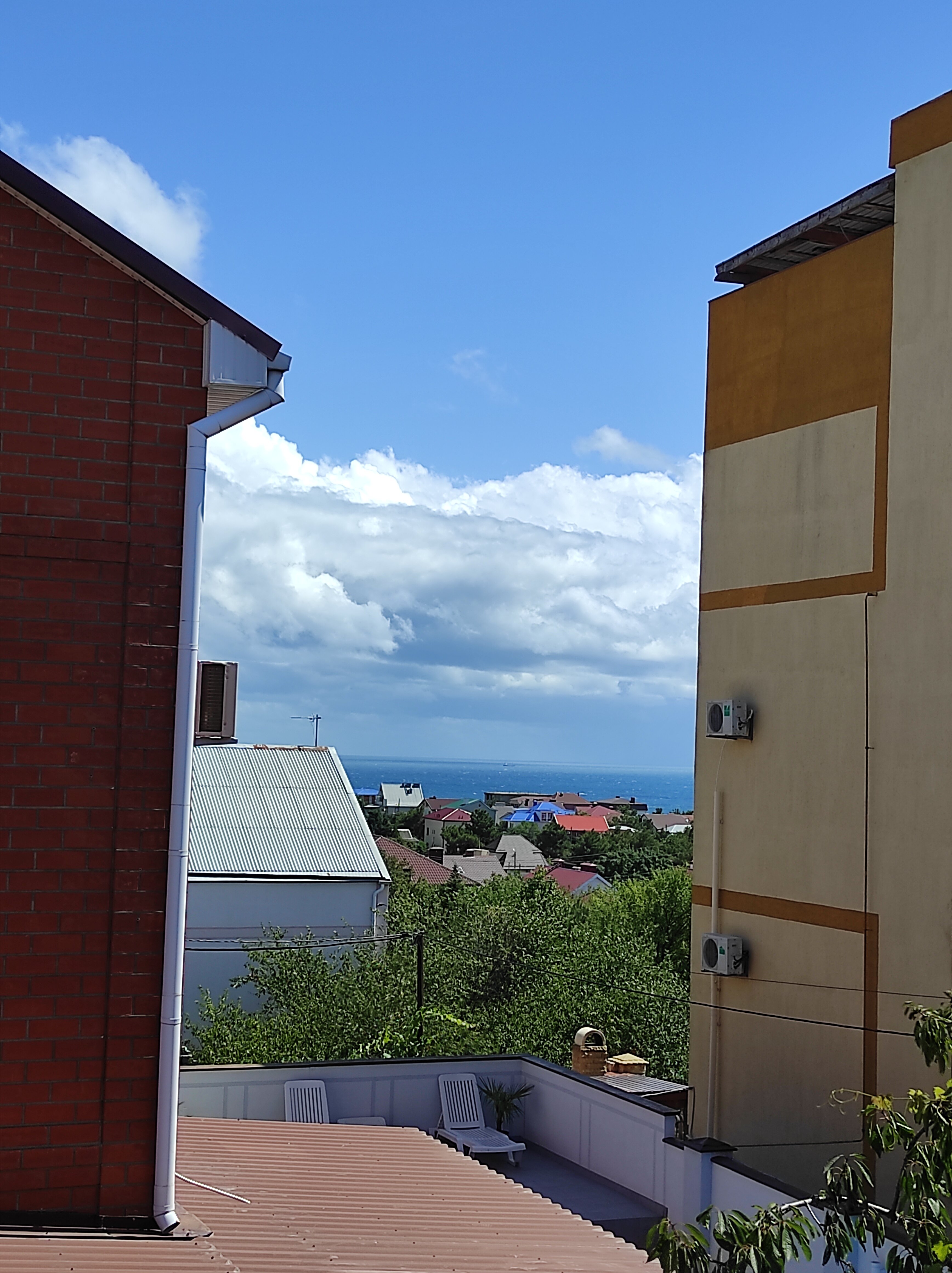 Фото Приветливый