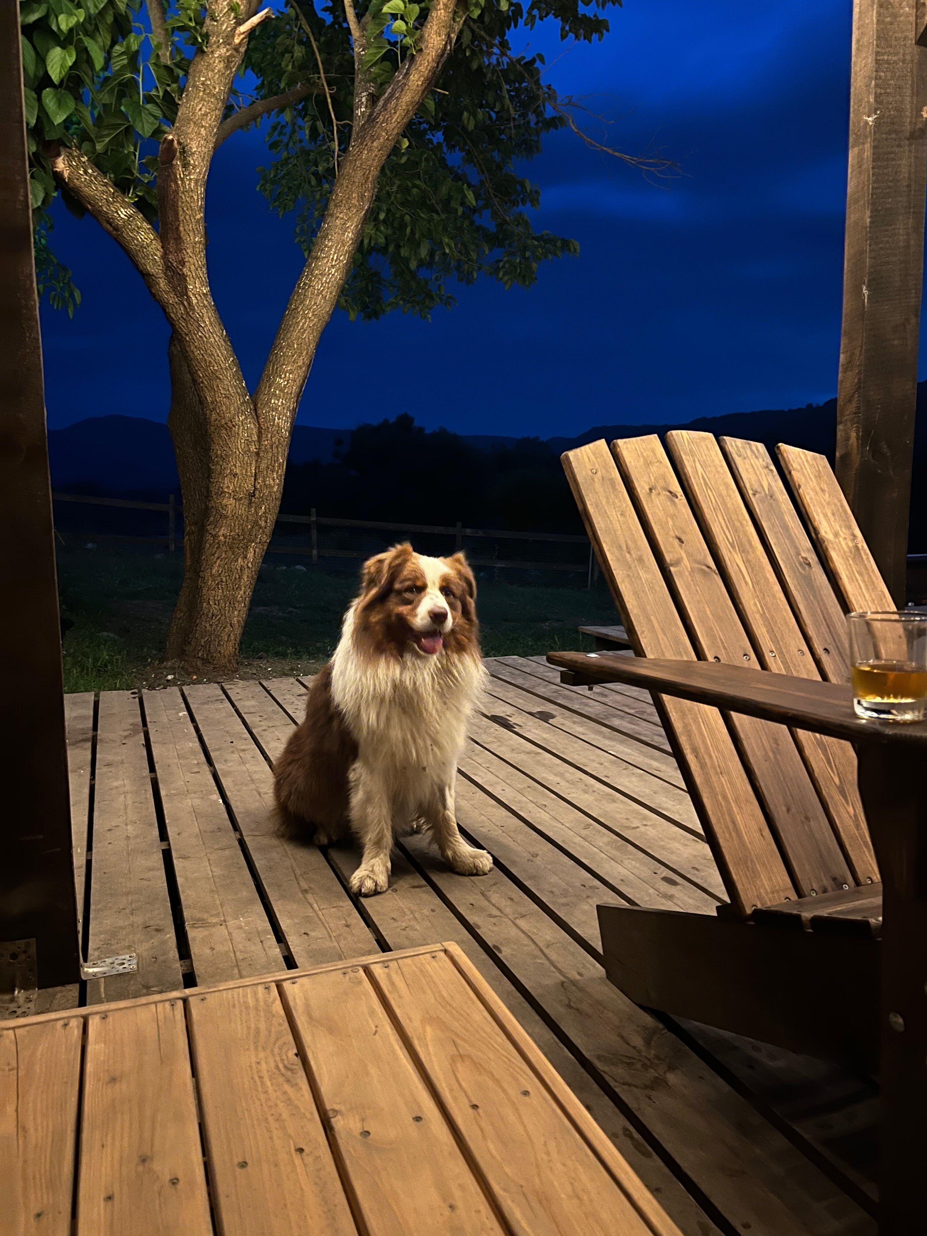 Фото Даховская Сфера