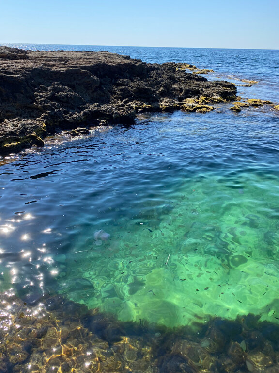 Фото У Борисовны