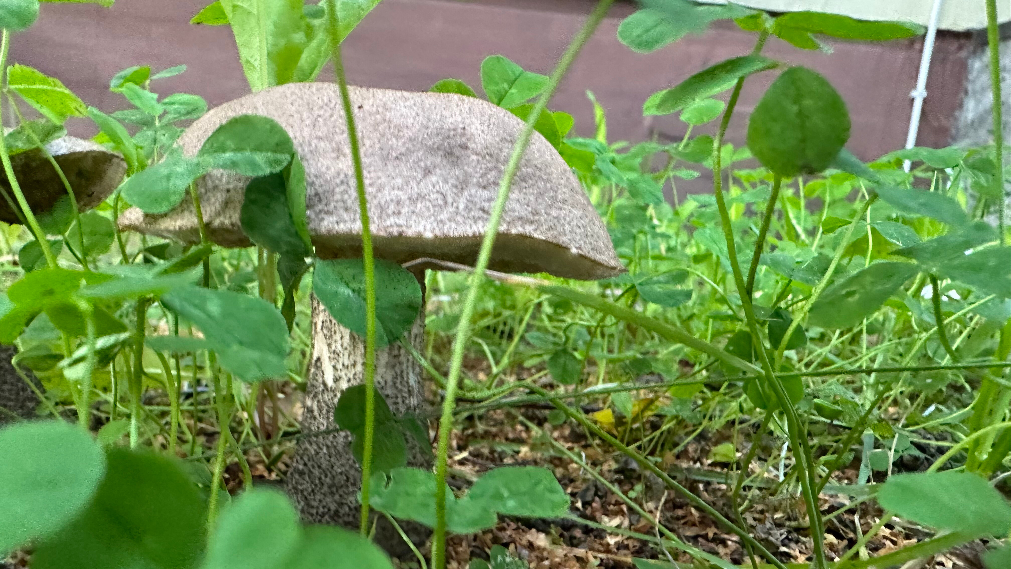 Фото Щучье озеро