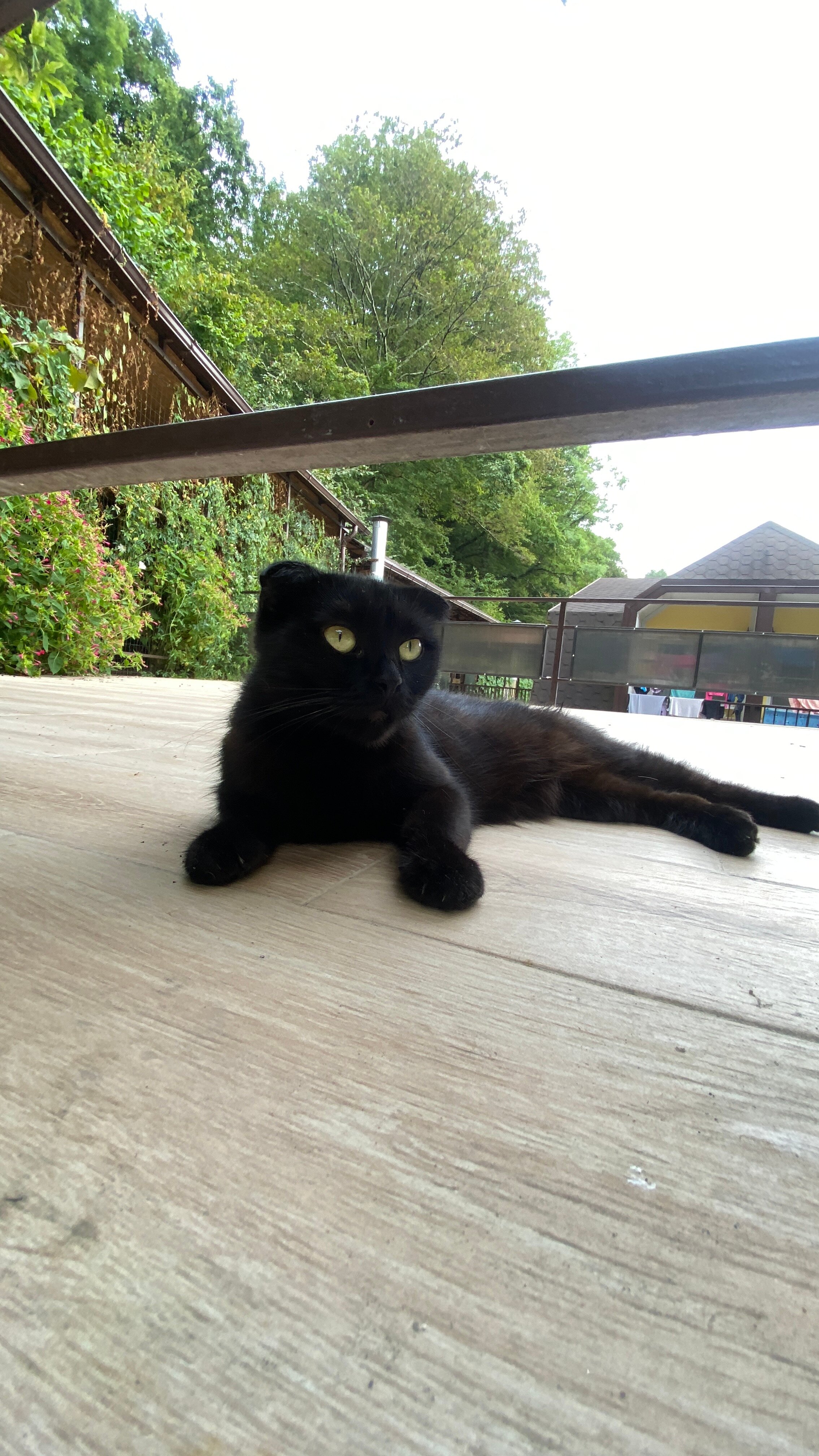 Фото Гостиница Диана