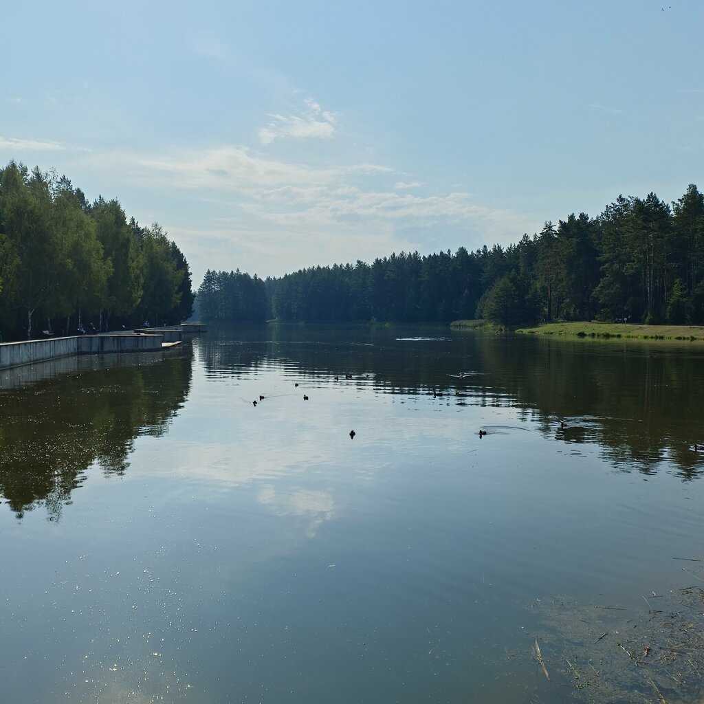 Гостиница Отель Паниква, Гродненская область, фото