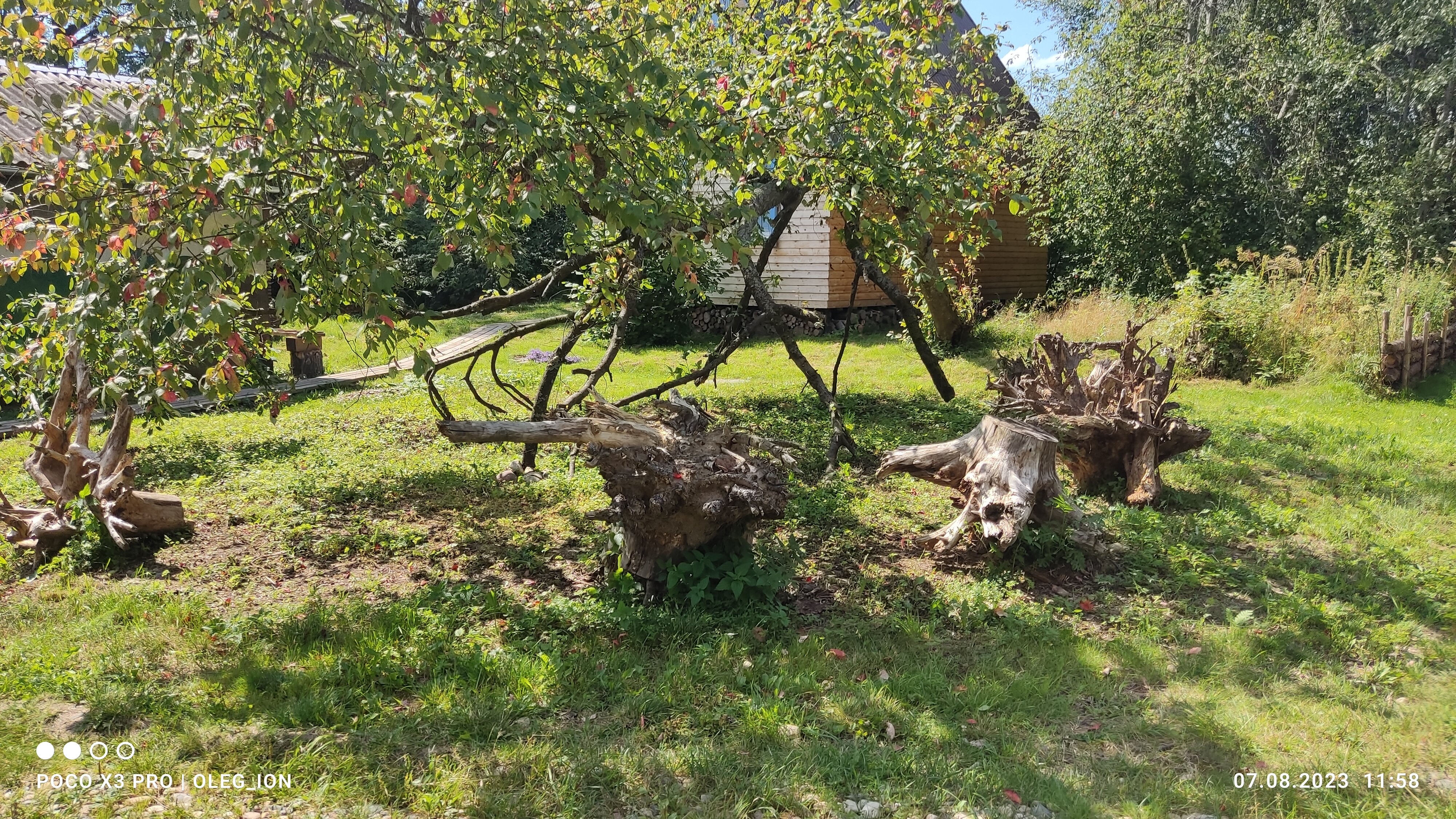 Фото Страна семи сов