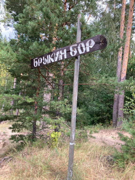 Фото Орехово Лес